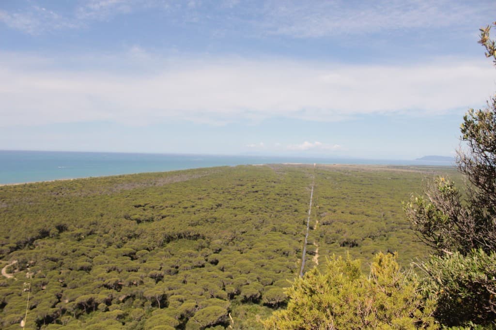 Parco della Maremma