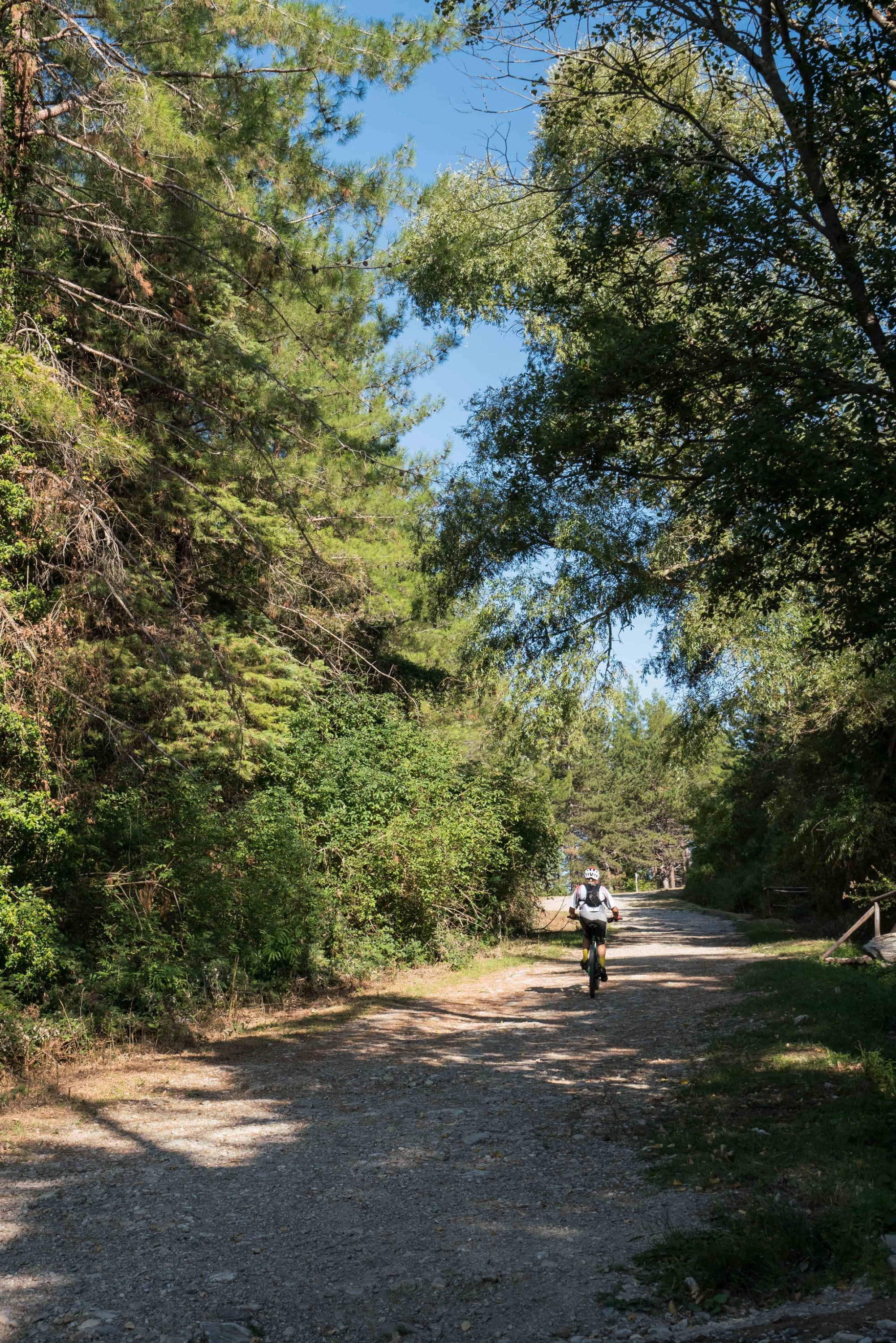 In mountain bike a Monte Morello