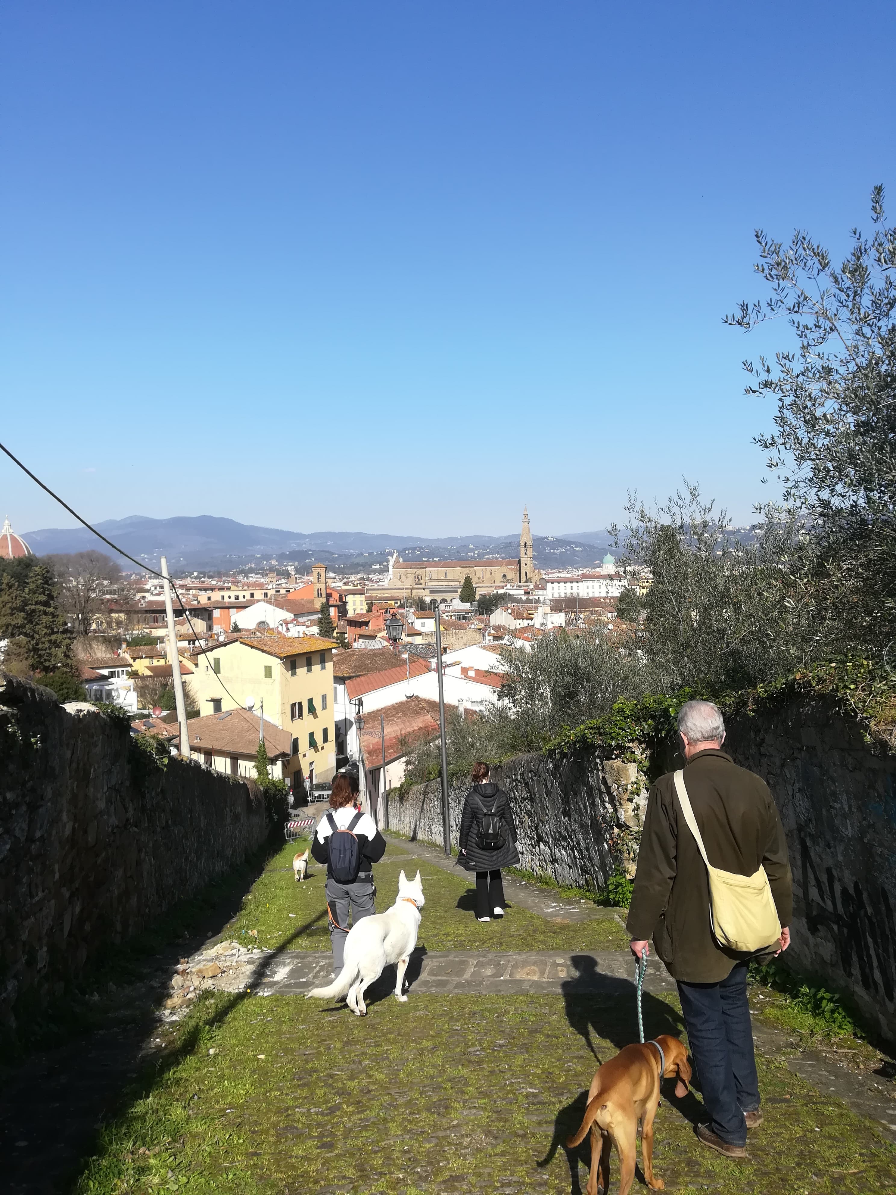 Tour panoramico di Firenze con il cane