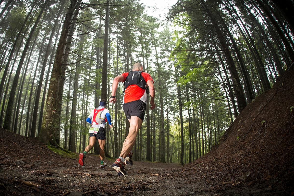 Corsa nel bosco