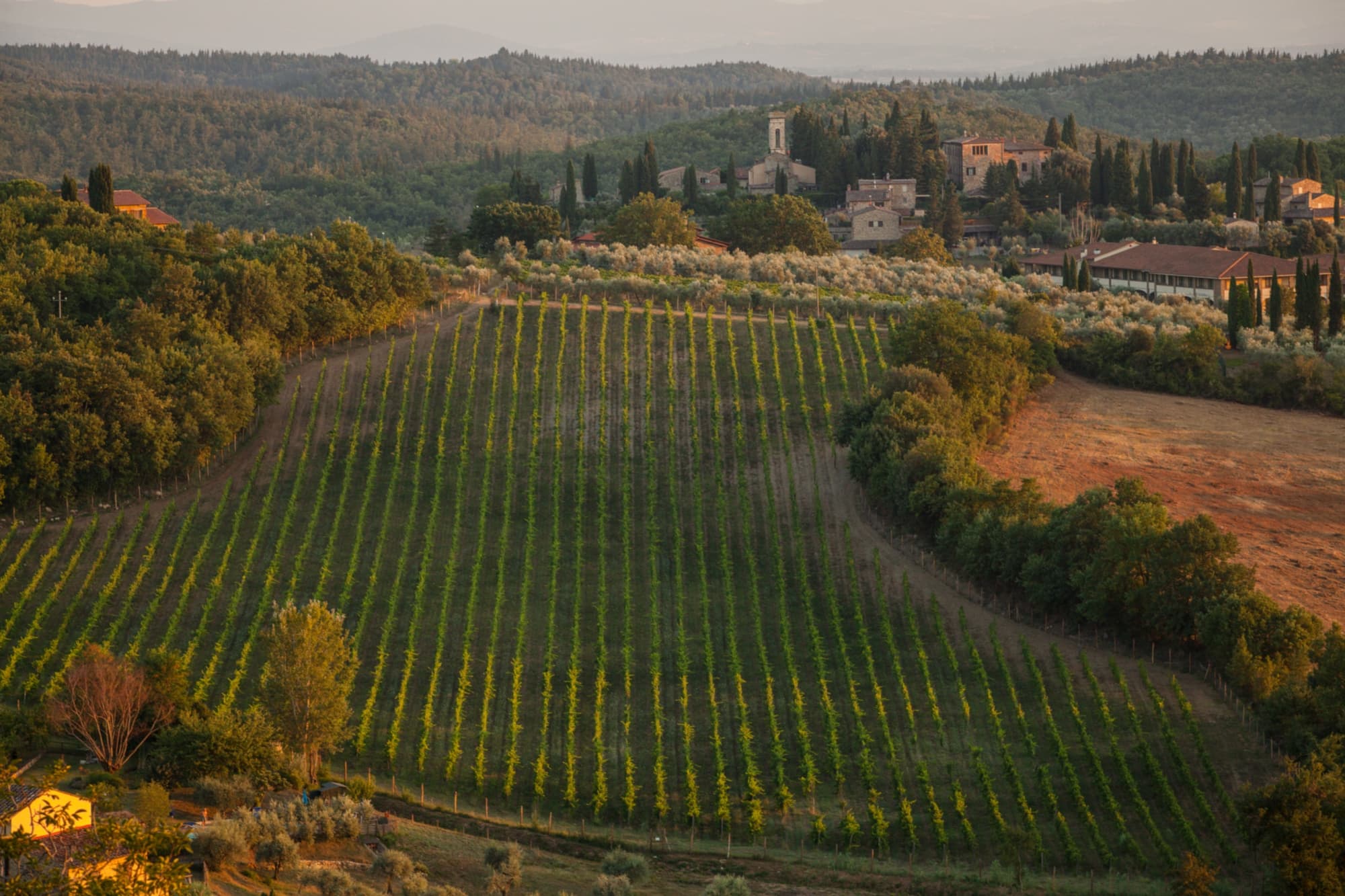 Il borgo di San Donato in Poggio sulla collina ricoperta di vigne