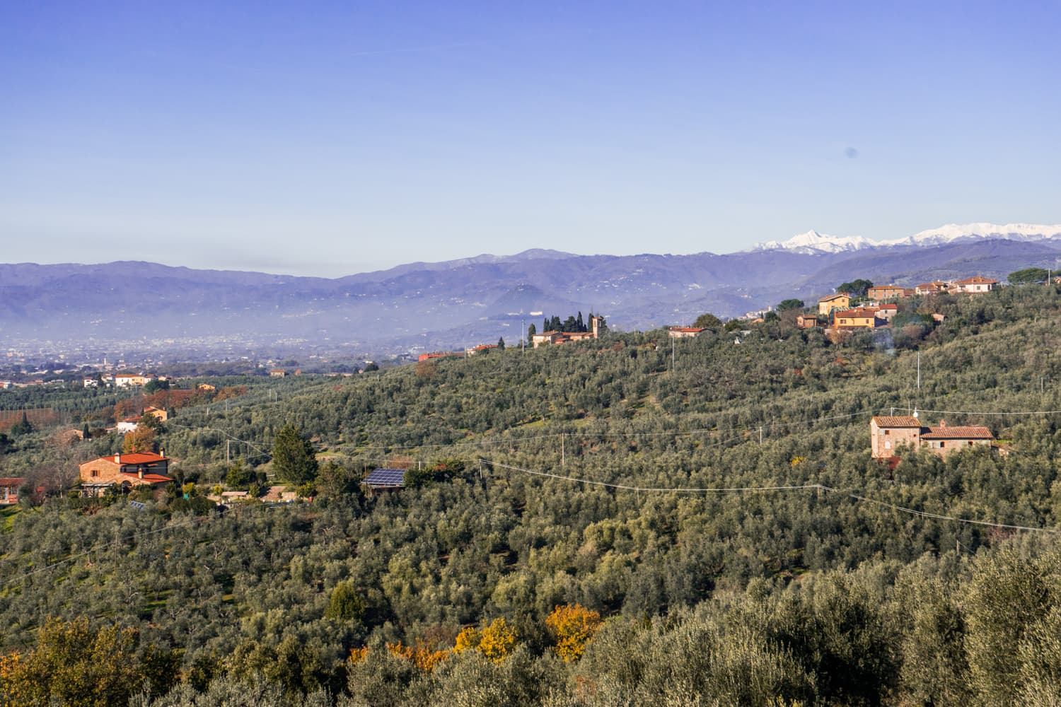 Le colline intorno a Vinci