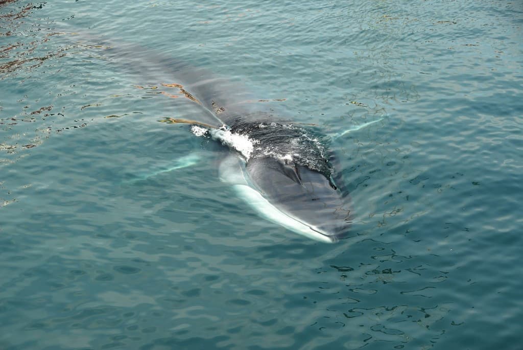 Tuscan Archipelago National Park