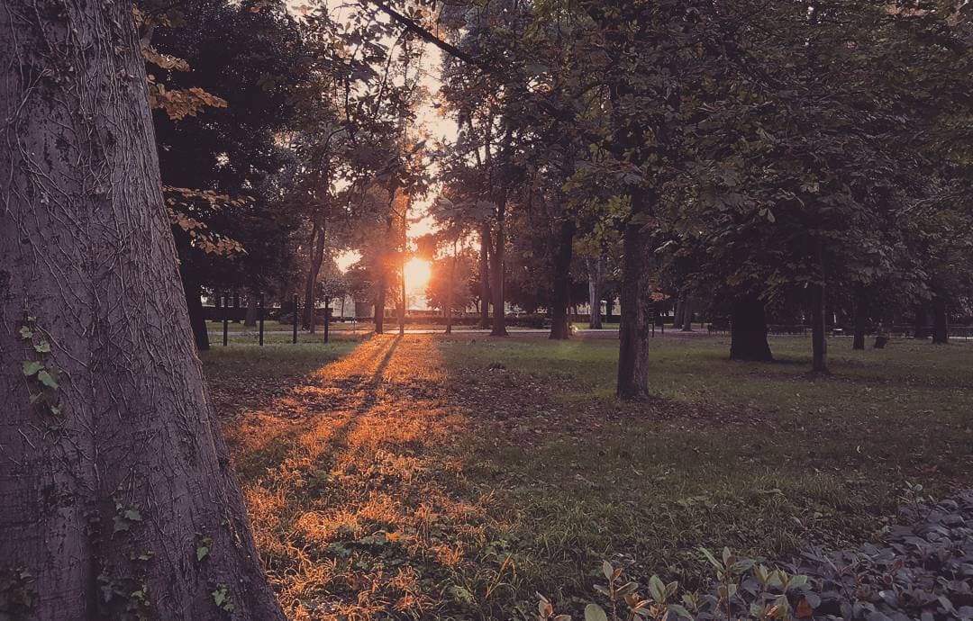 Tramonto al Parco delle Cascine