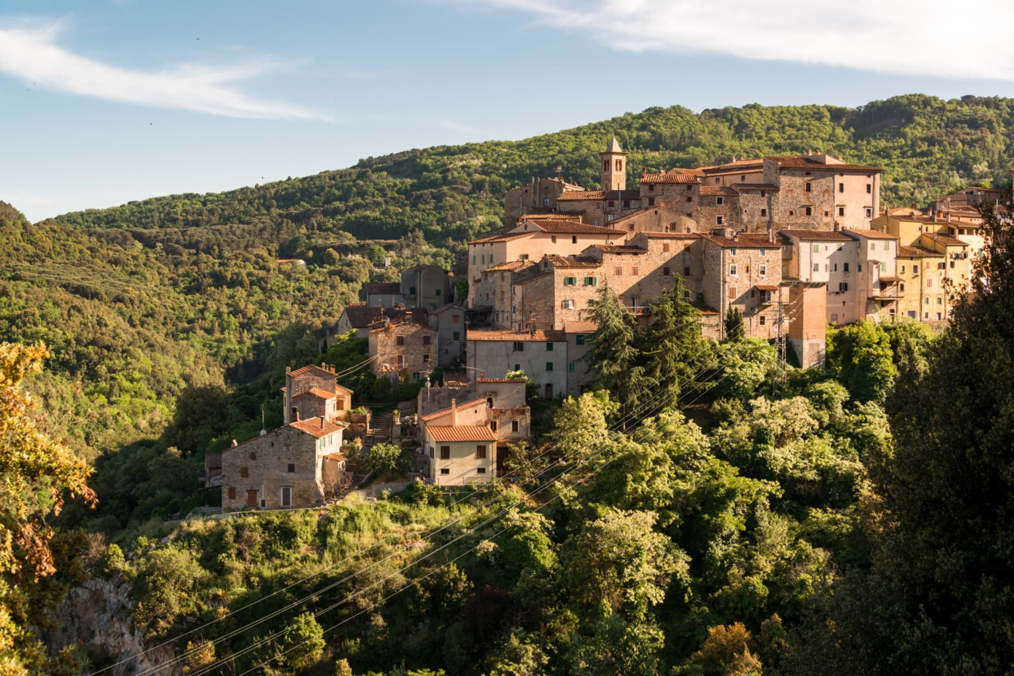 adobestock_132196505_sassetta