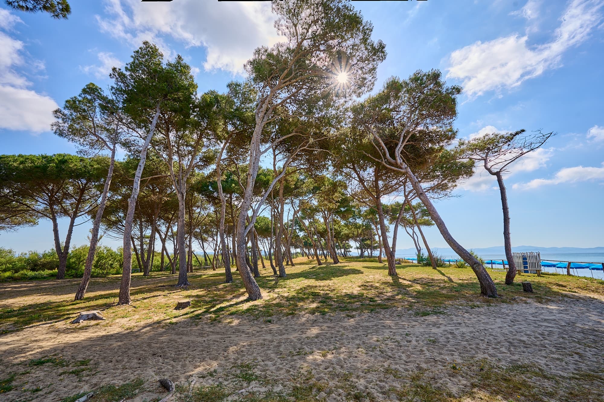 Tour in e-bike dal Parco della Sterpaia a Follonica