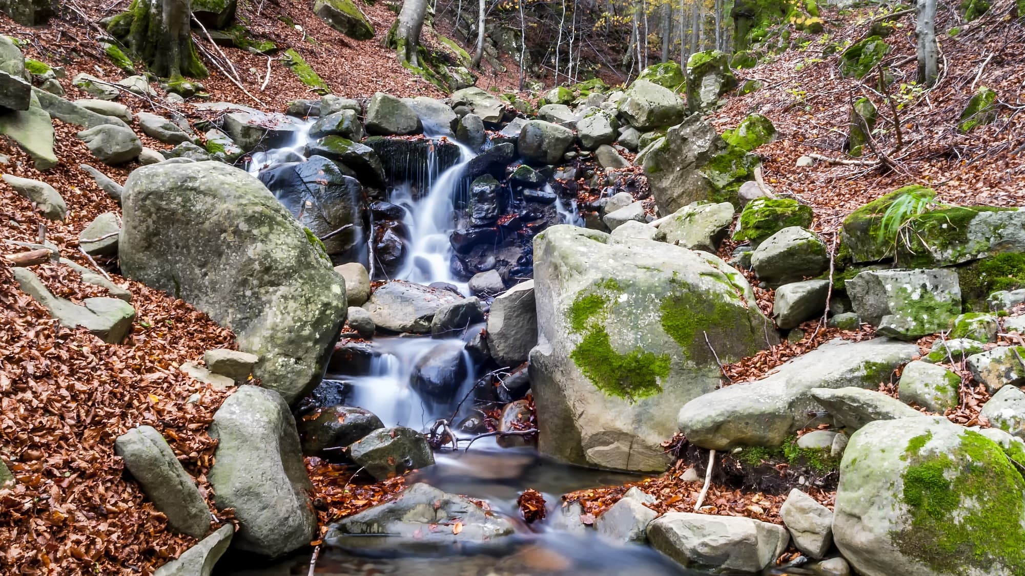 Passeggiate d'autunno nella Montagna Pistoiese