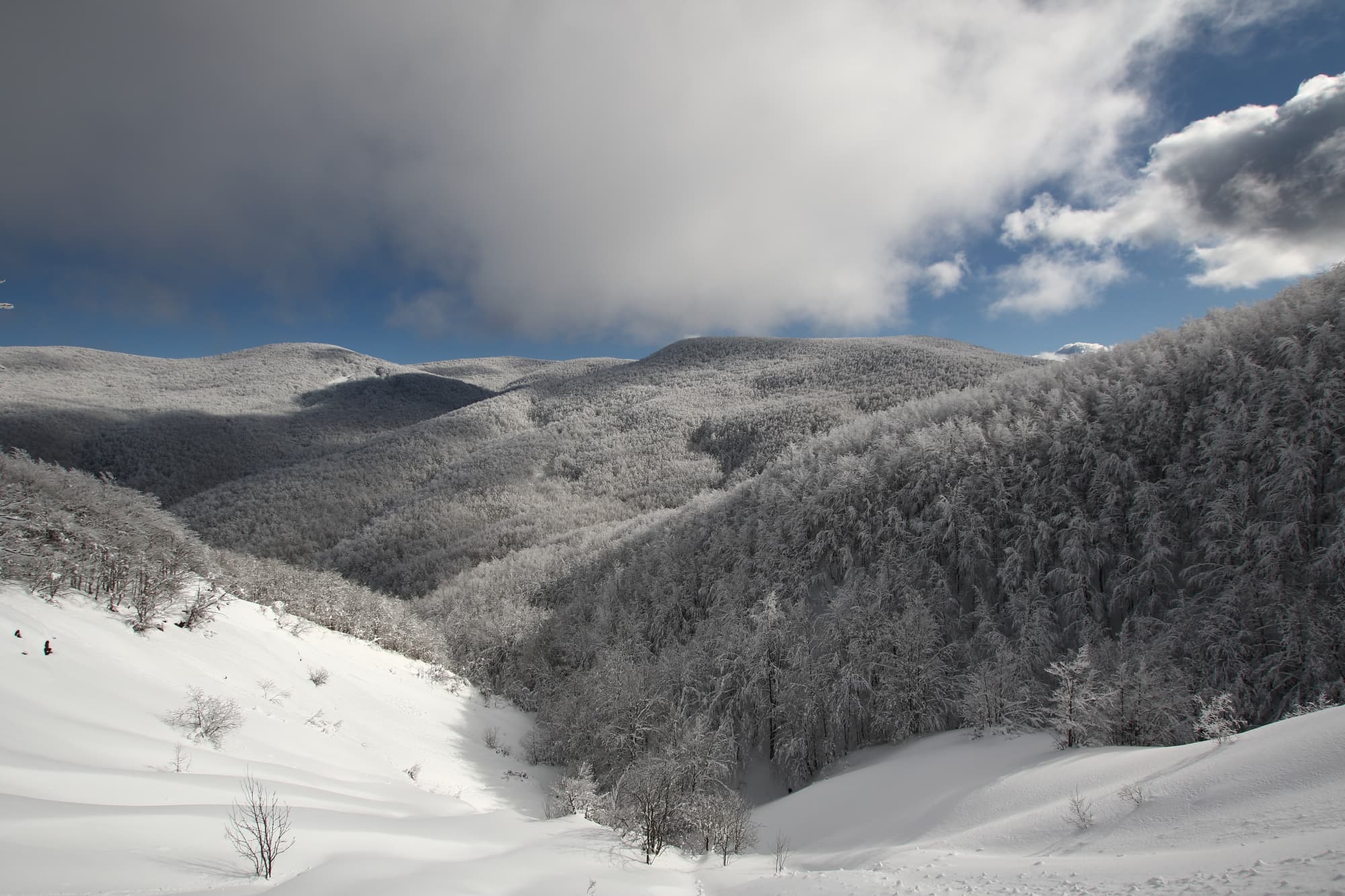Verso il Monte Spiaggi