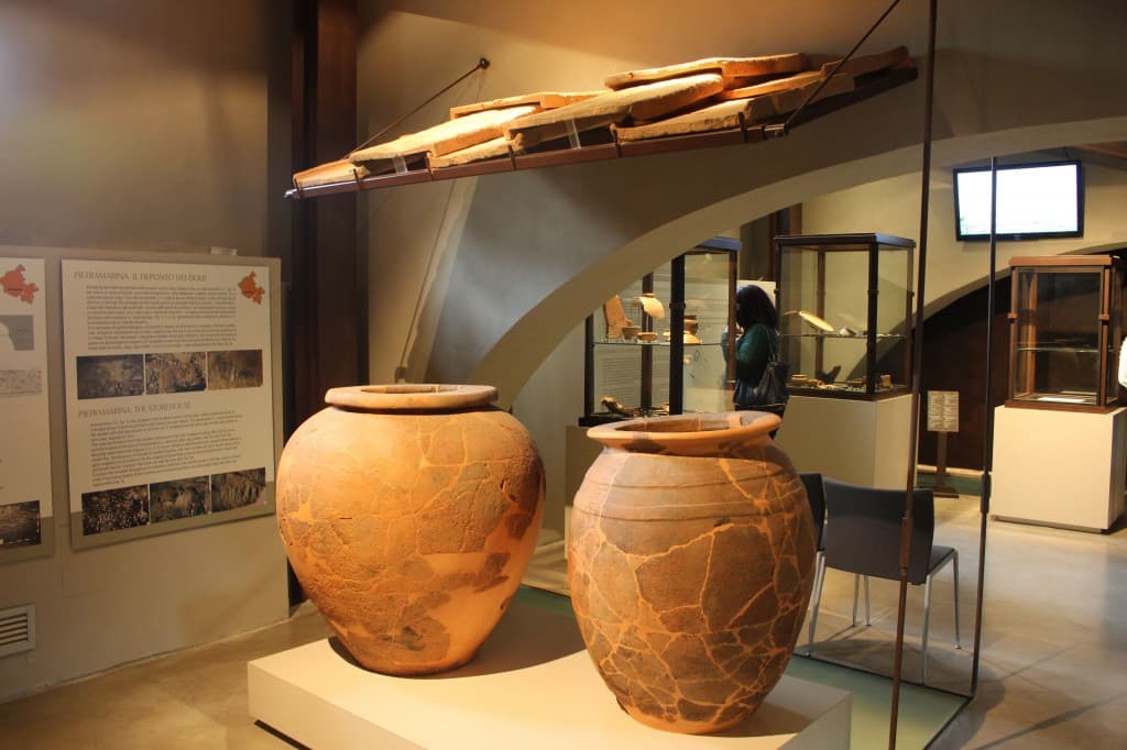 artimino-museum-1024x682_wp7_19291.jpg