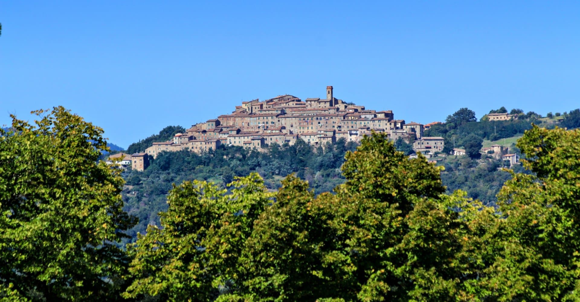 The village of Chiusdino, as seen from below