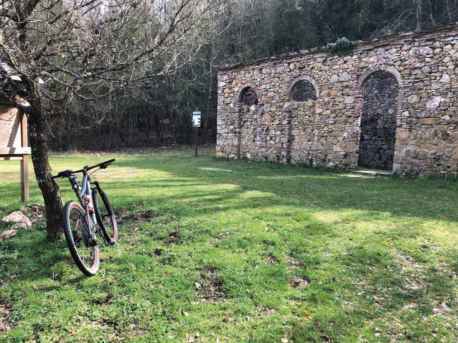 Riserva Naturale Poggio Tre Cancelli a Follonica