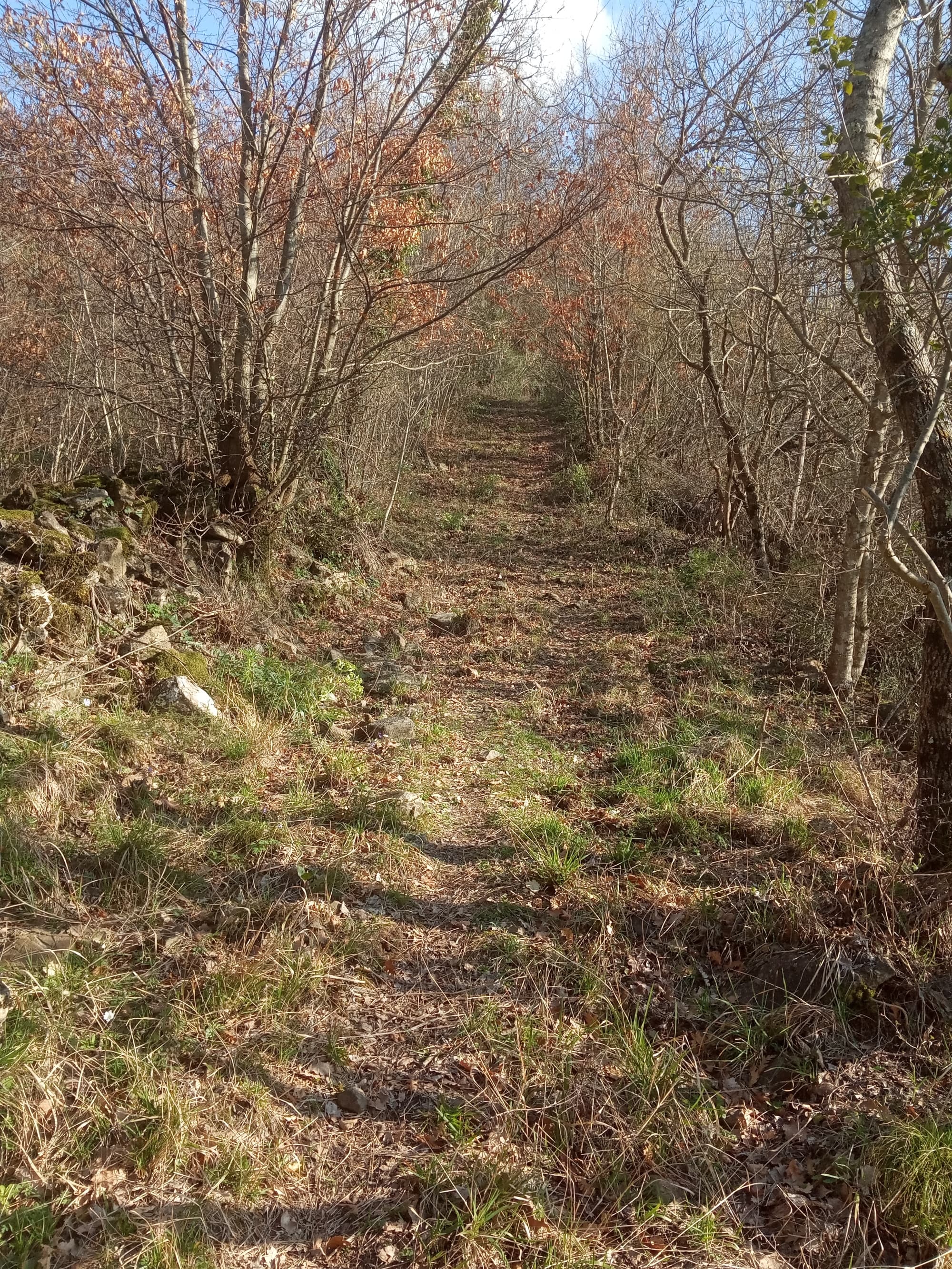 img_20200314_155441.jpg
