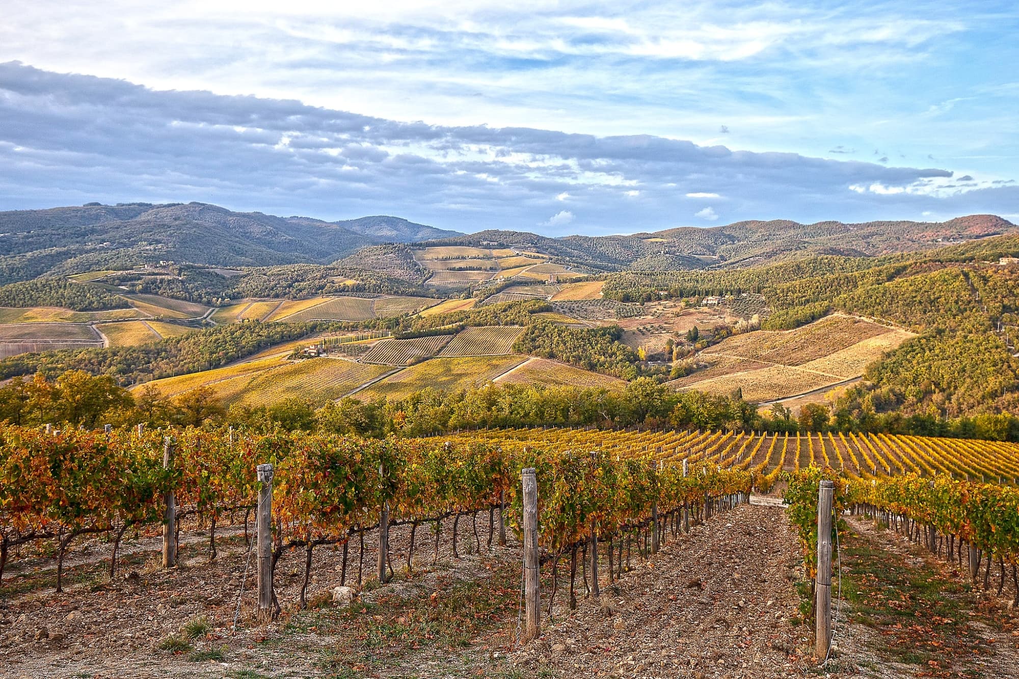Autunno nelle vigne del Chianti