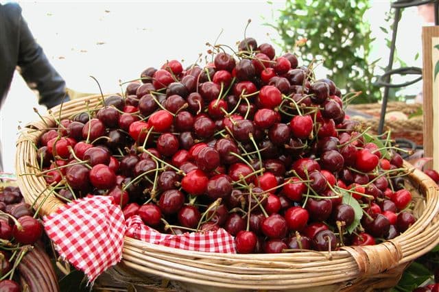 Lari cherries