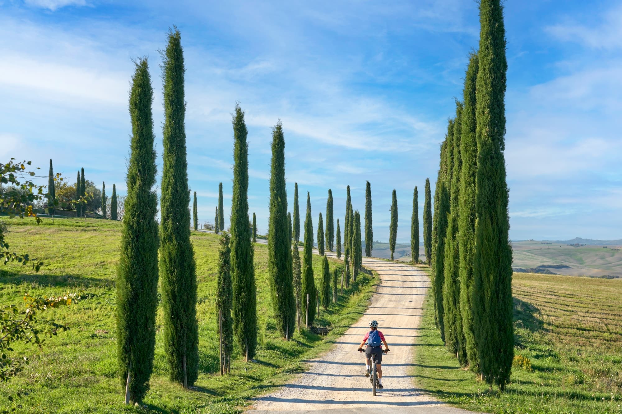 Ciclista su strada bianca fiancheggiata da cipressi nella Val d'Orcia