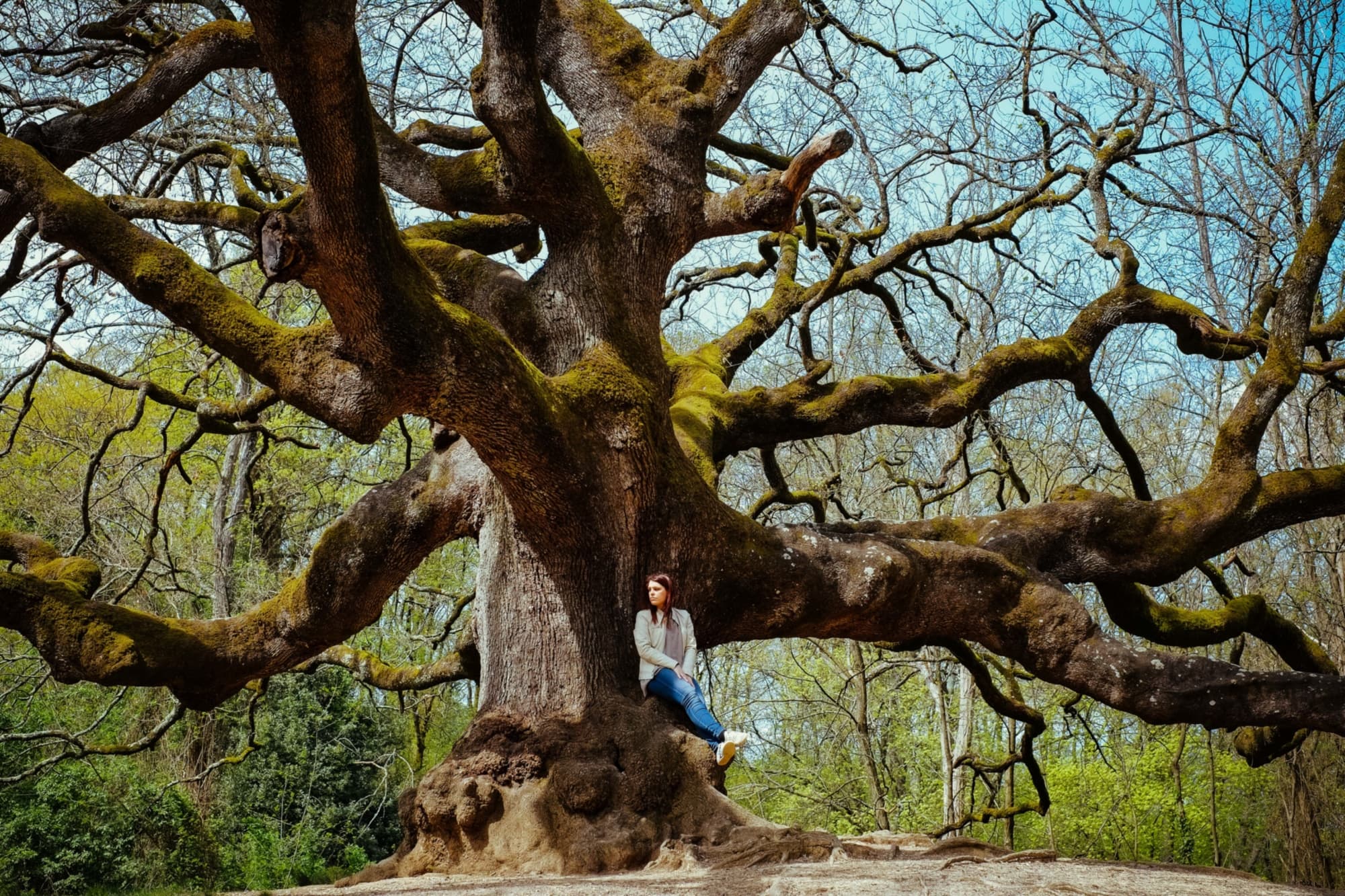 Una ragazza seduta sulla Quercia delle Streghe, albero monumentale di Capannori