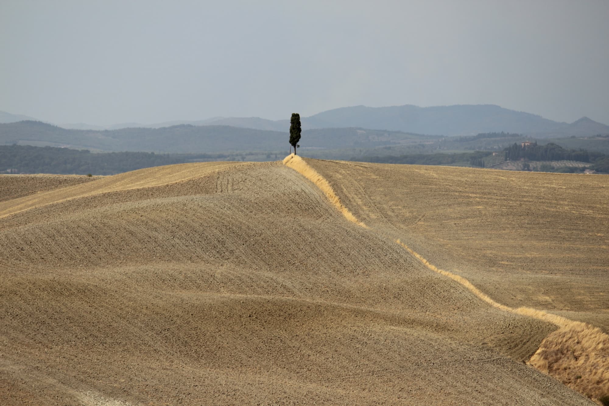 Les Crete Senesi