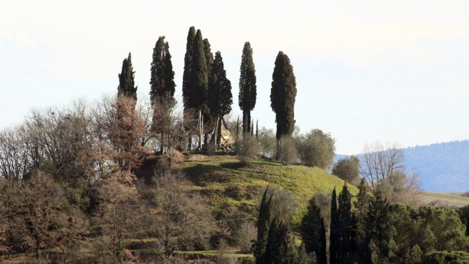 Castelnuovo Berardenga, Montaperti