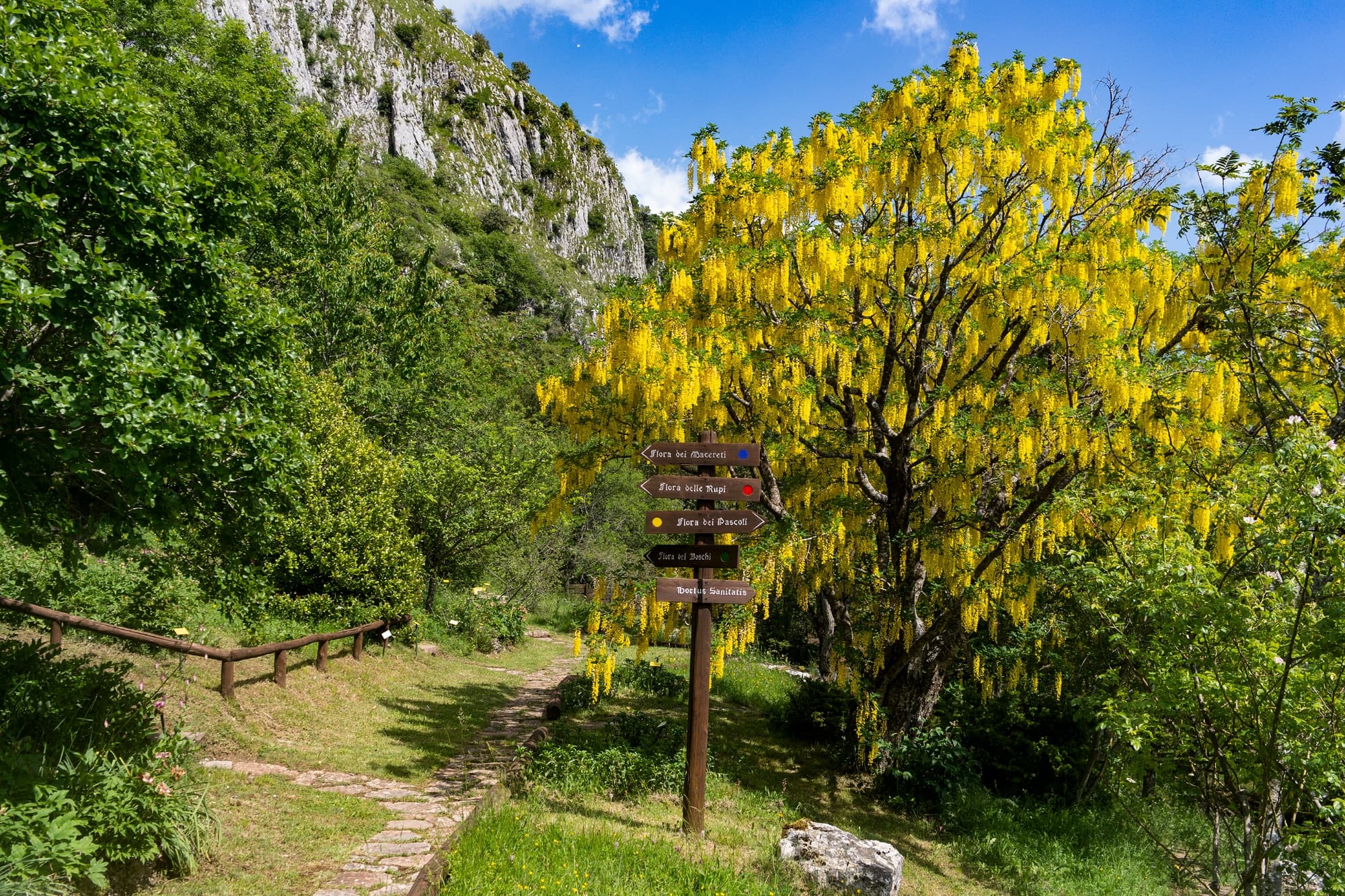 Giardino Botanico Maria Ansaldi Pania di Corfino