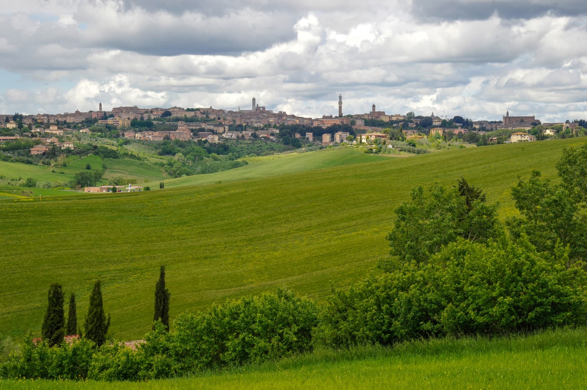Siena