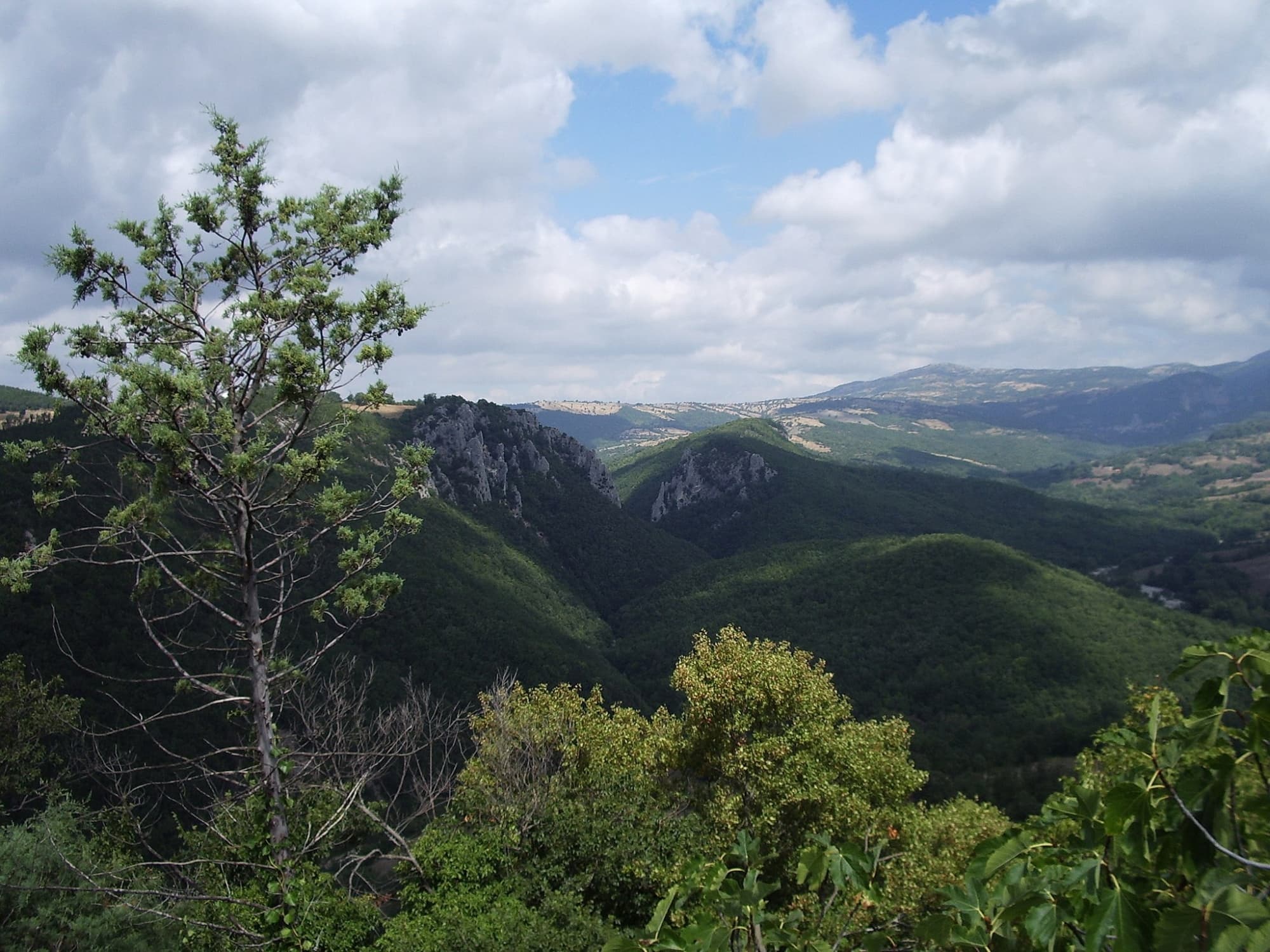 The Rocconi Nature Reserve
