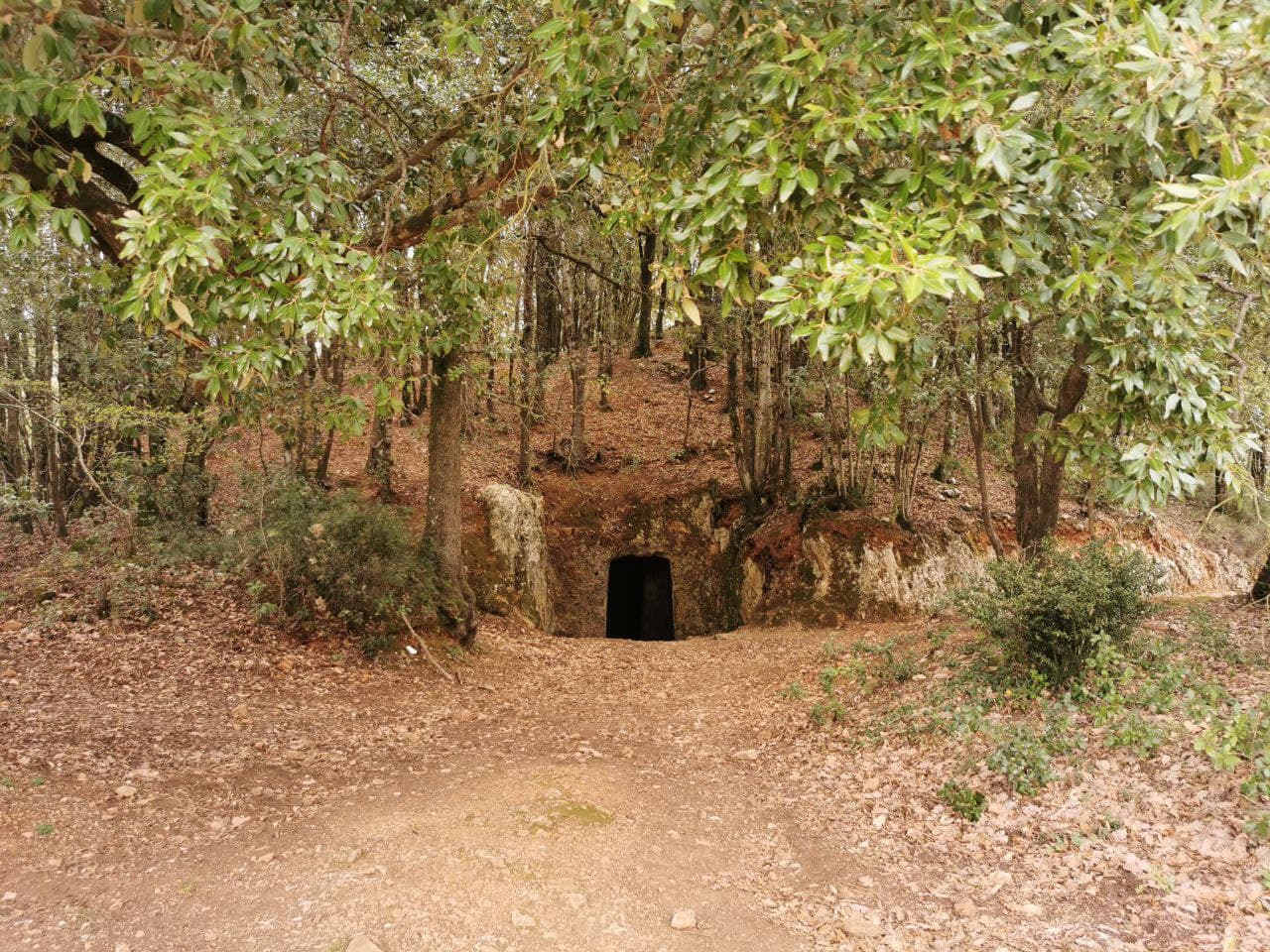 The Etruscan tumulus of Mucellena