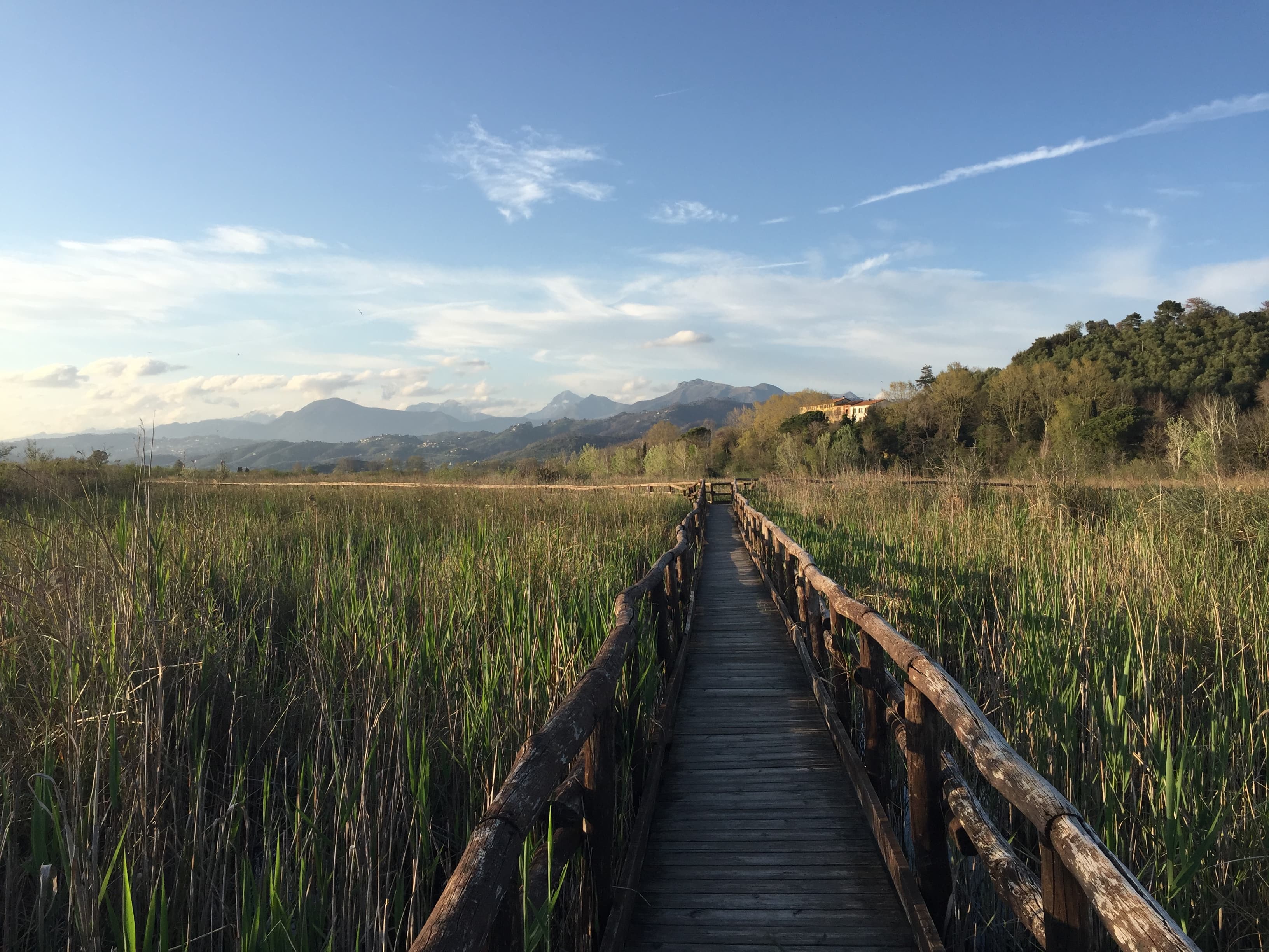San Rossore e lago di Puccini: trekking di 3 giorni