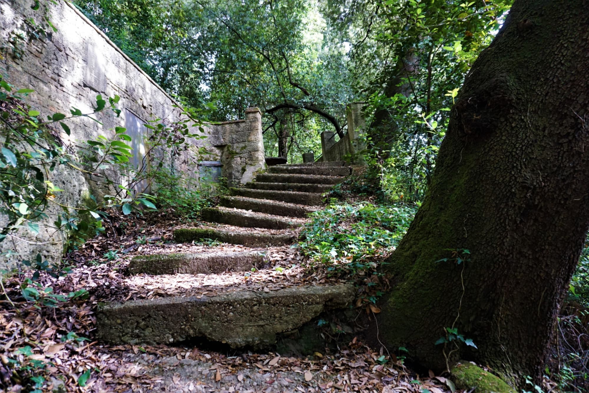 Trekking tra castelli e panoramici crinali