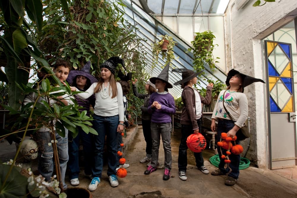 Orto Botanico, Siena - trekking bambini