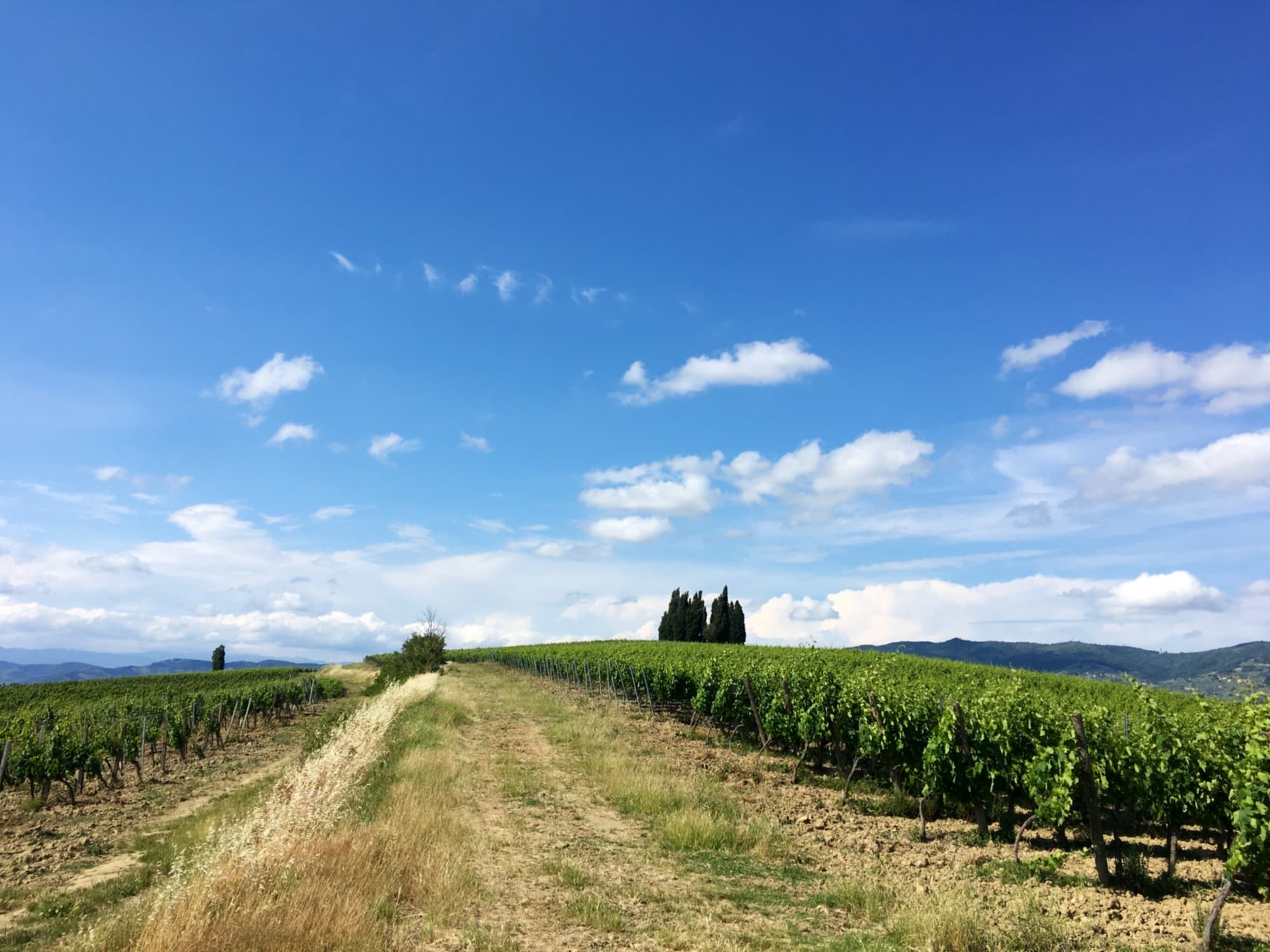 Tratto de La Strada dei Cipressi