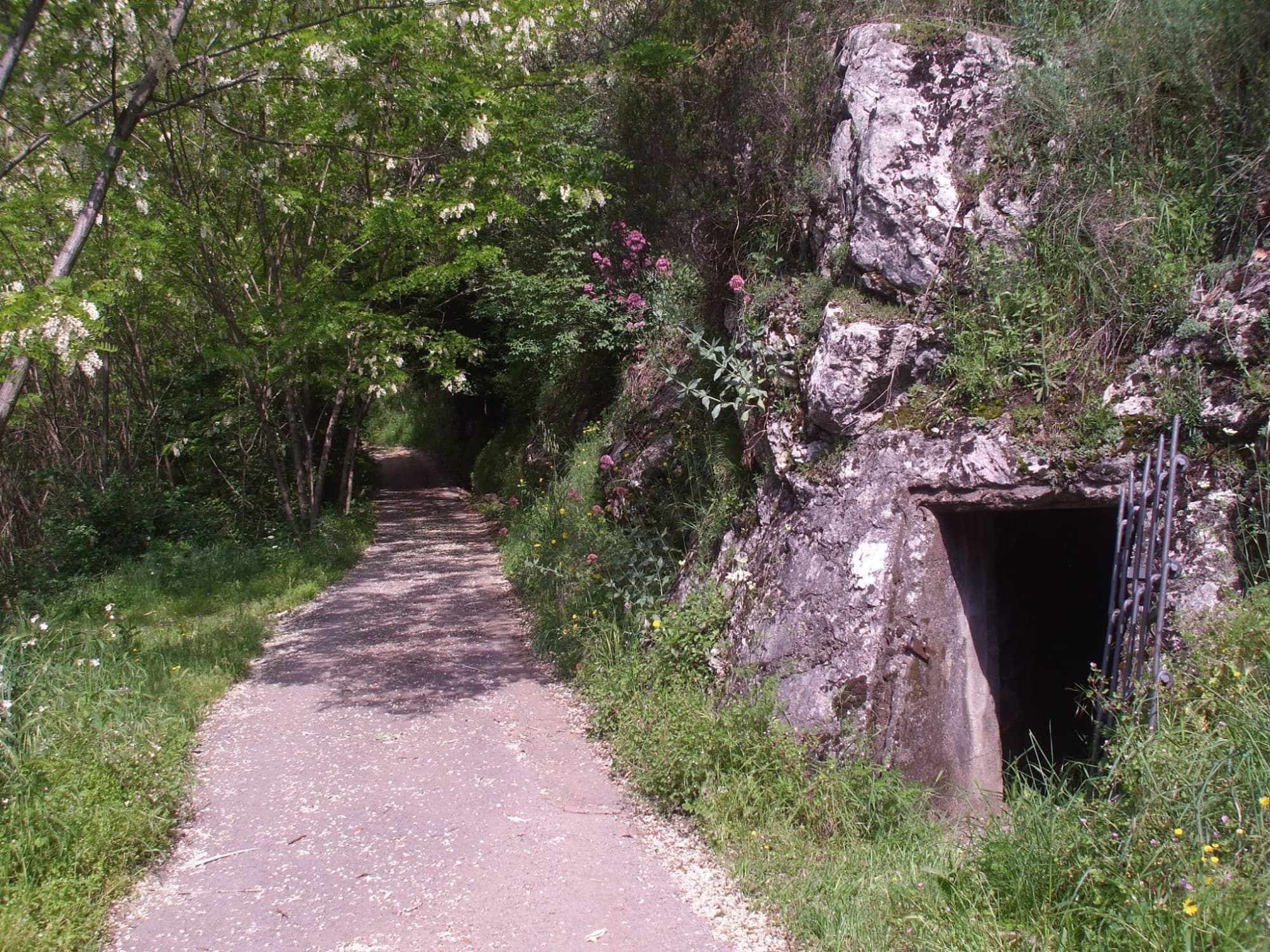 Immagine della Linea Gotica