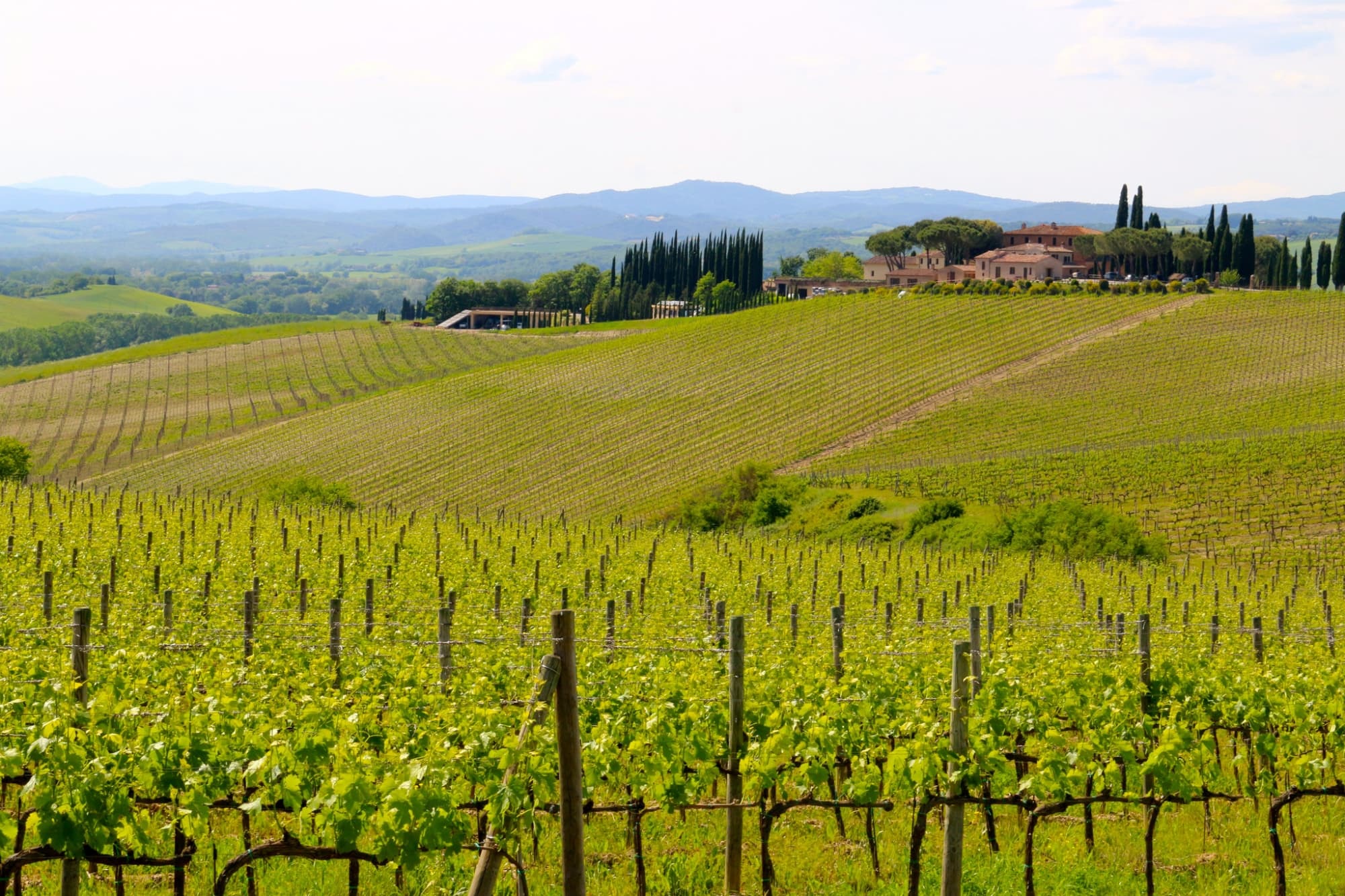 montalcino-ryan-snyder.jpg