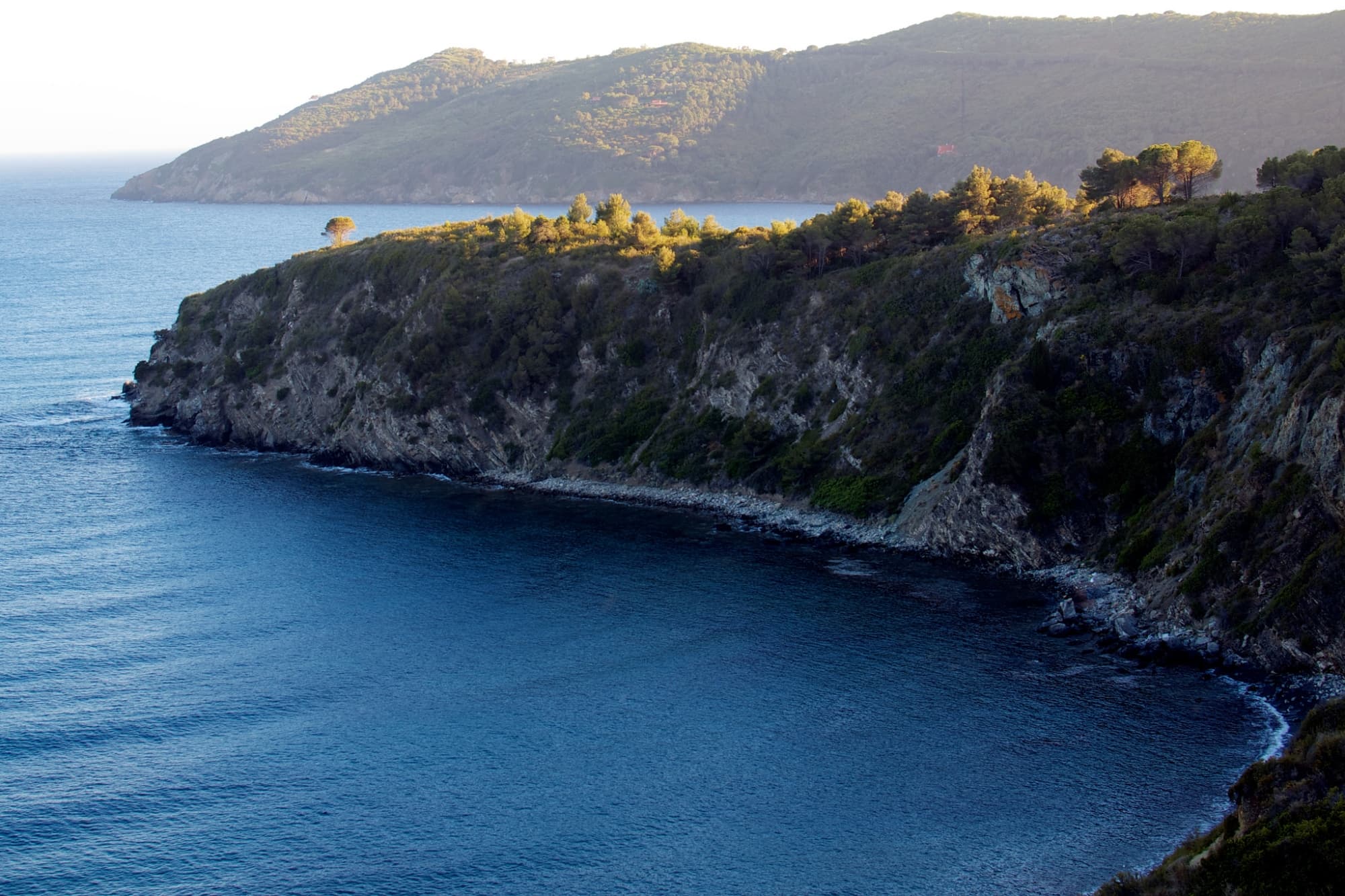 Tra Marina di Campo e Fetovaia, Campo nell'Elba