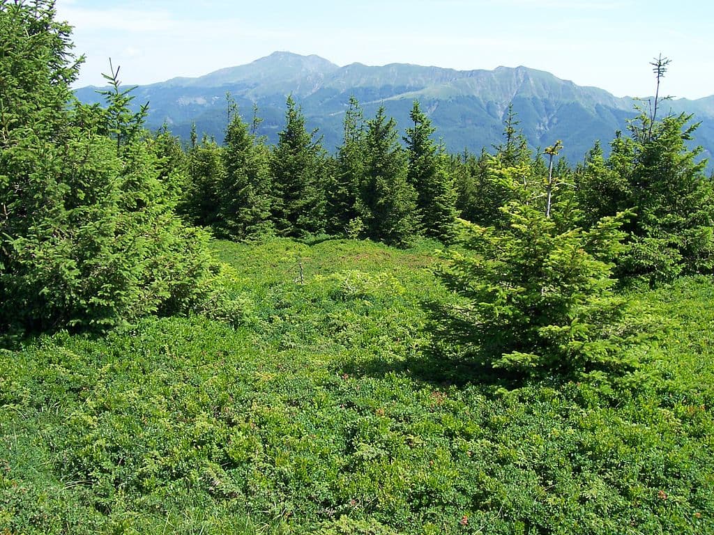 riserva naturale di Campolino