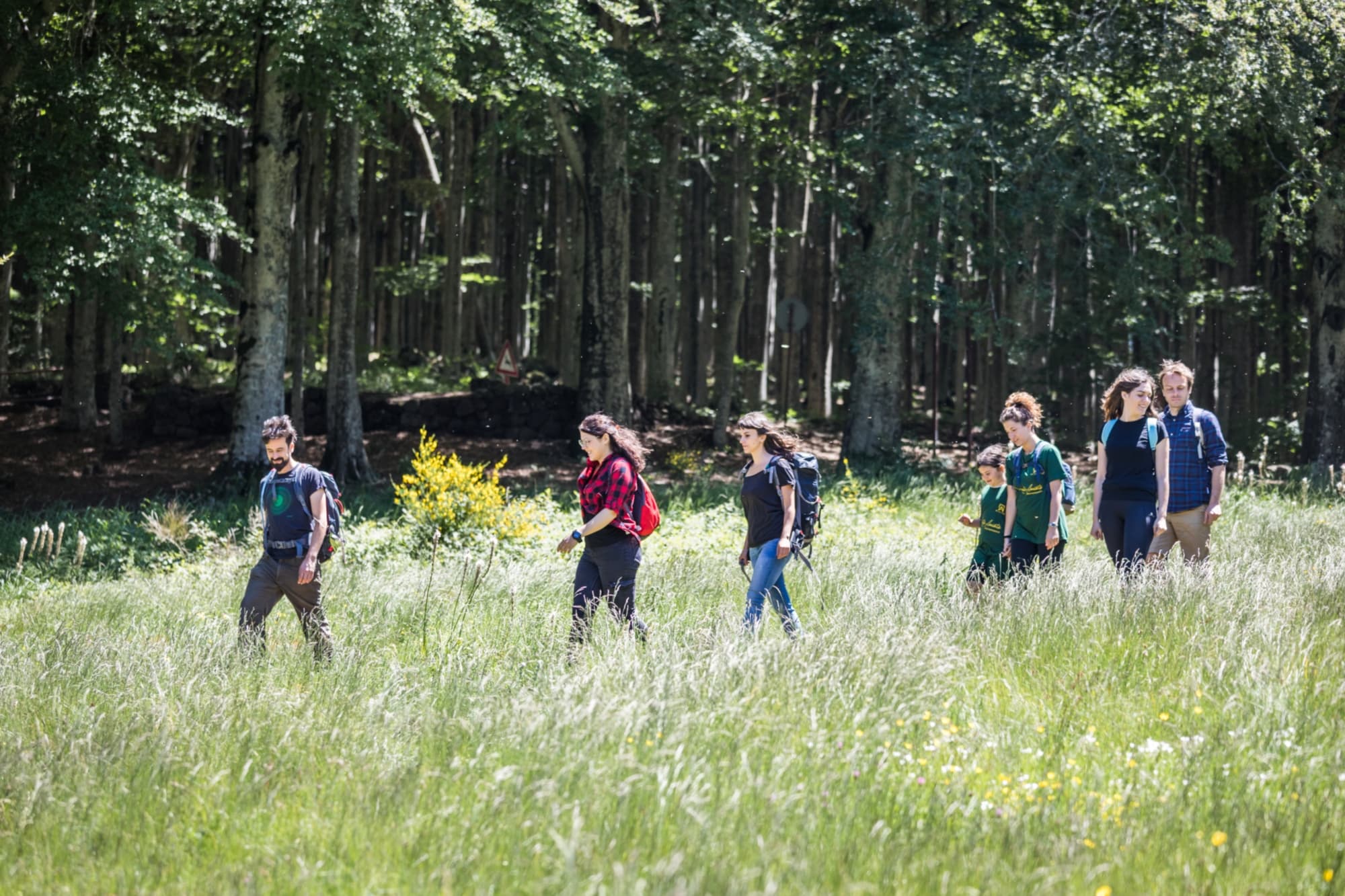 Trekking nella faggeta del Monte Amiata