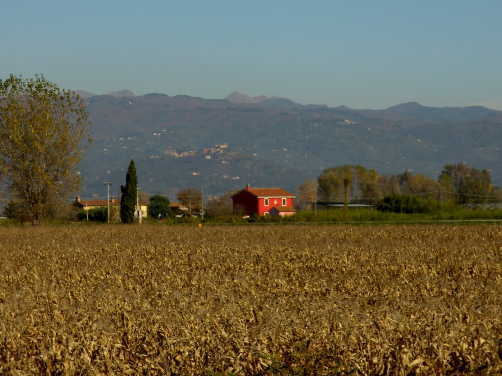Ponte Buggianese, pianura