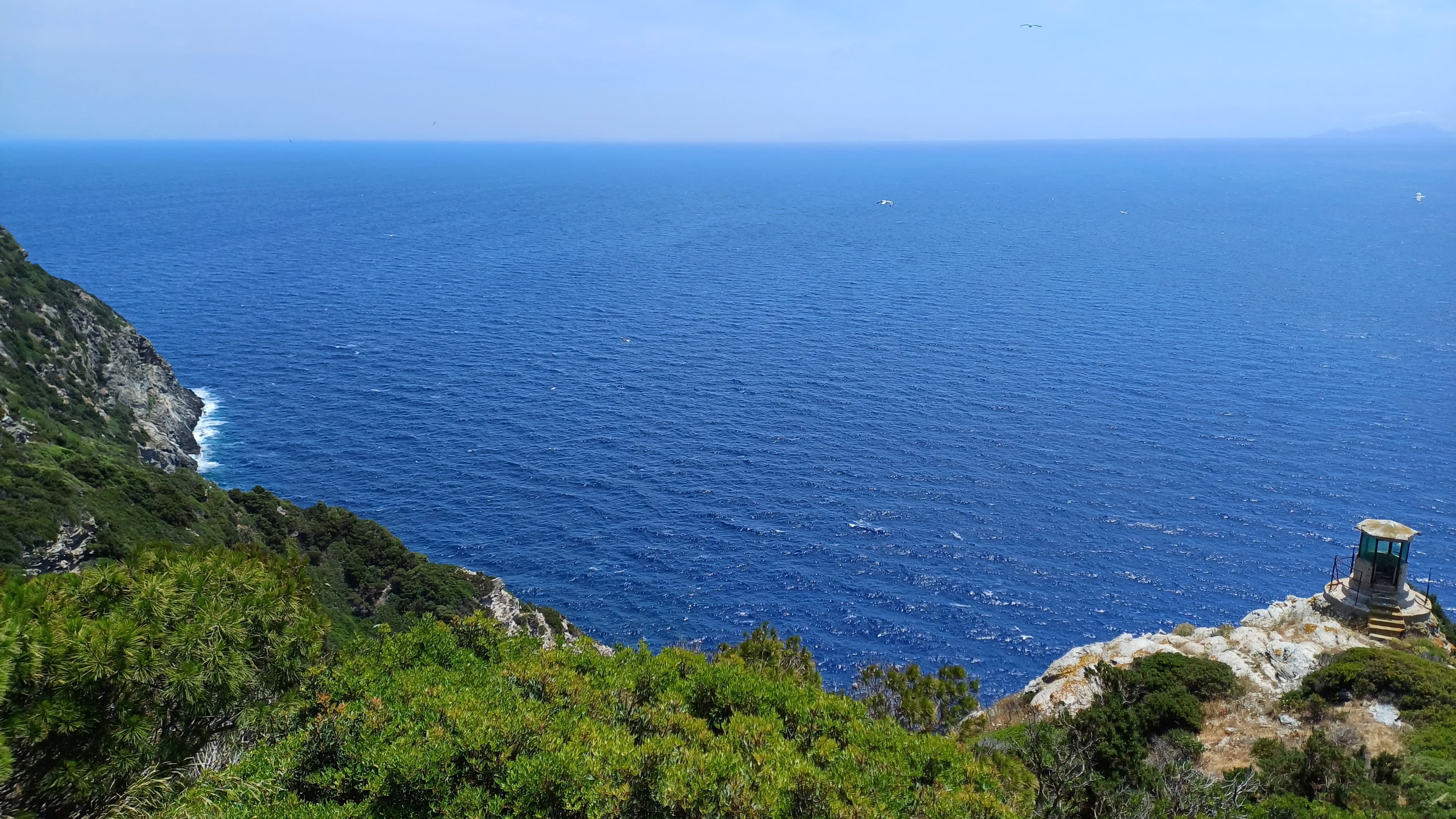 Trekking e visita all'isola di Gorgona
