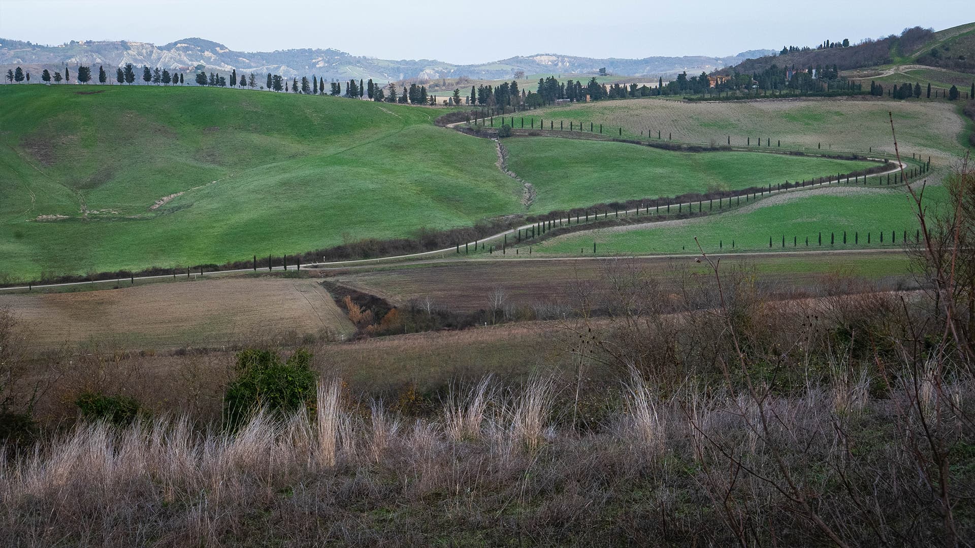 E-bike tour Ghizzano/Castelfalfi
