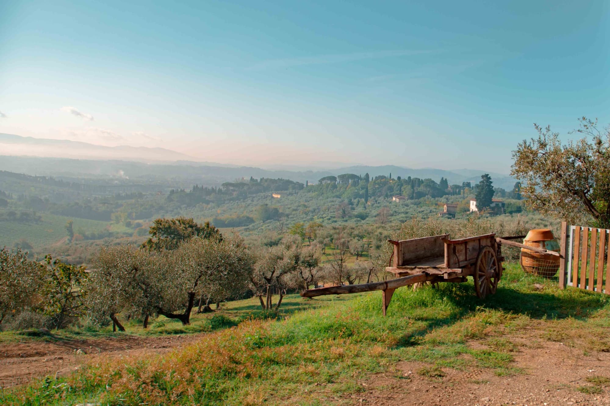 Maiano farm