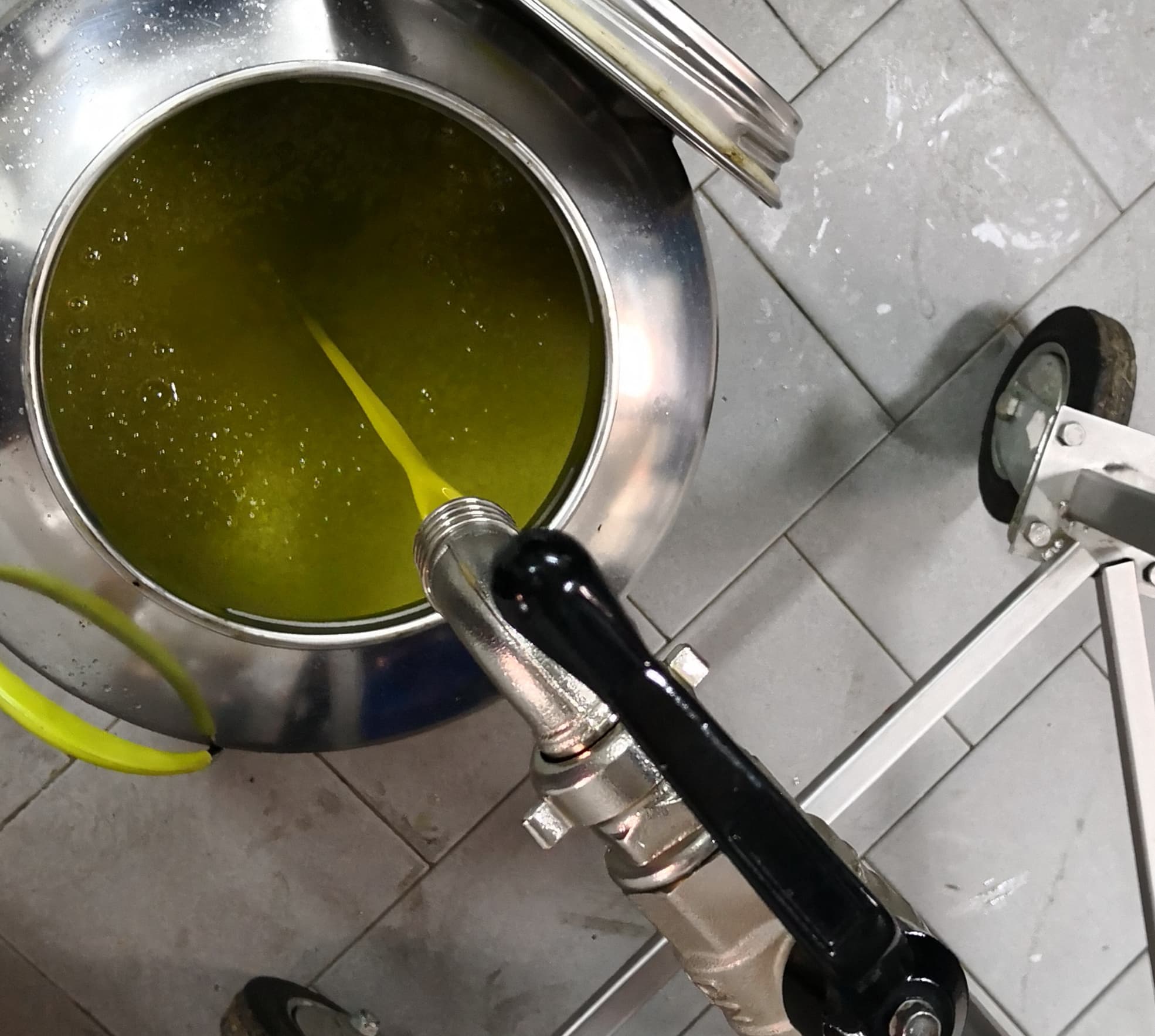 Olio nuovo appena franto