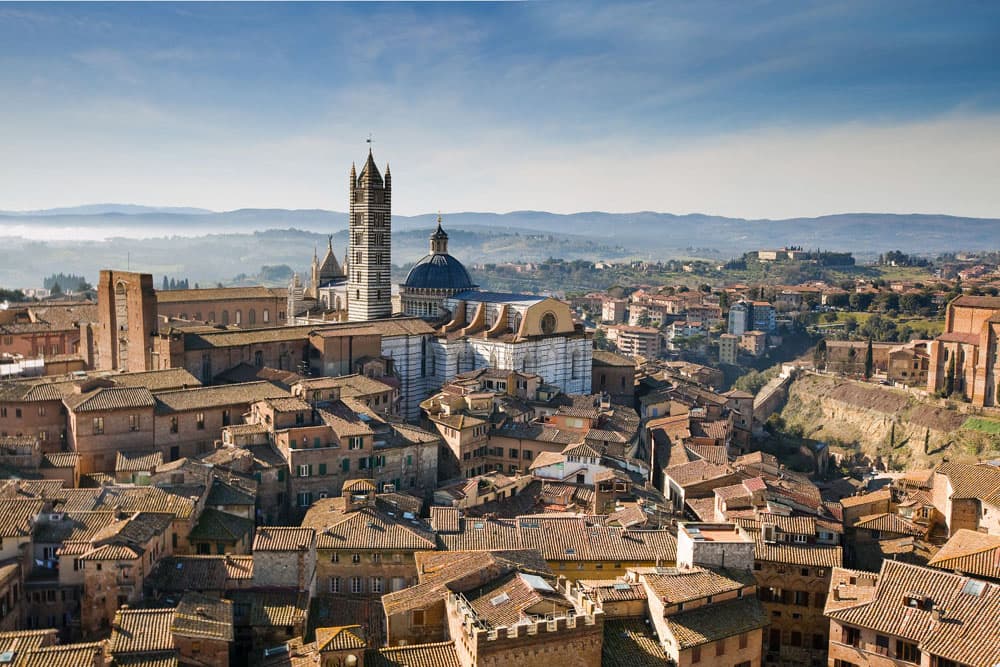 siena centro INS