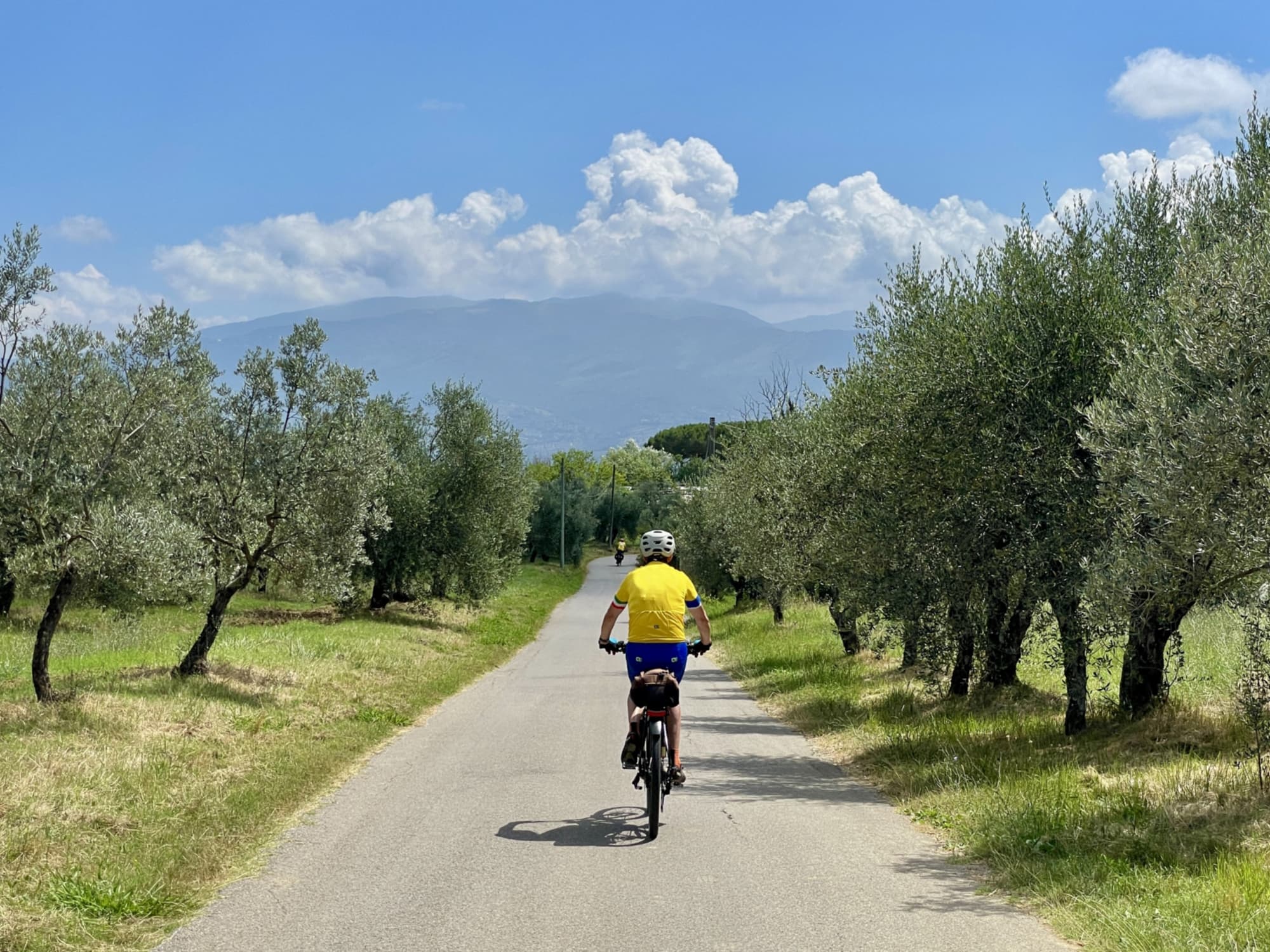 vallombrosa-forse.jpg