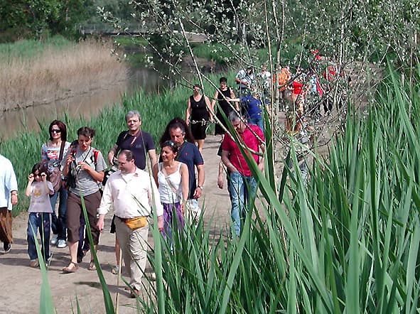 Eine Personengruppe im Besucherzentrum des Reservats der Sümpfe von Fucecchio