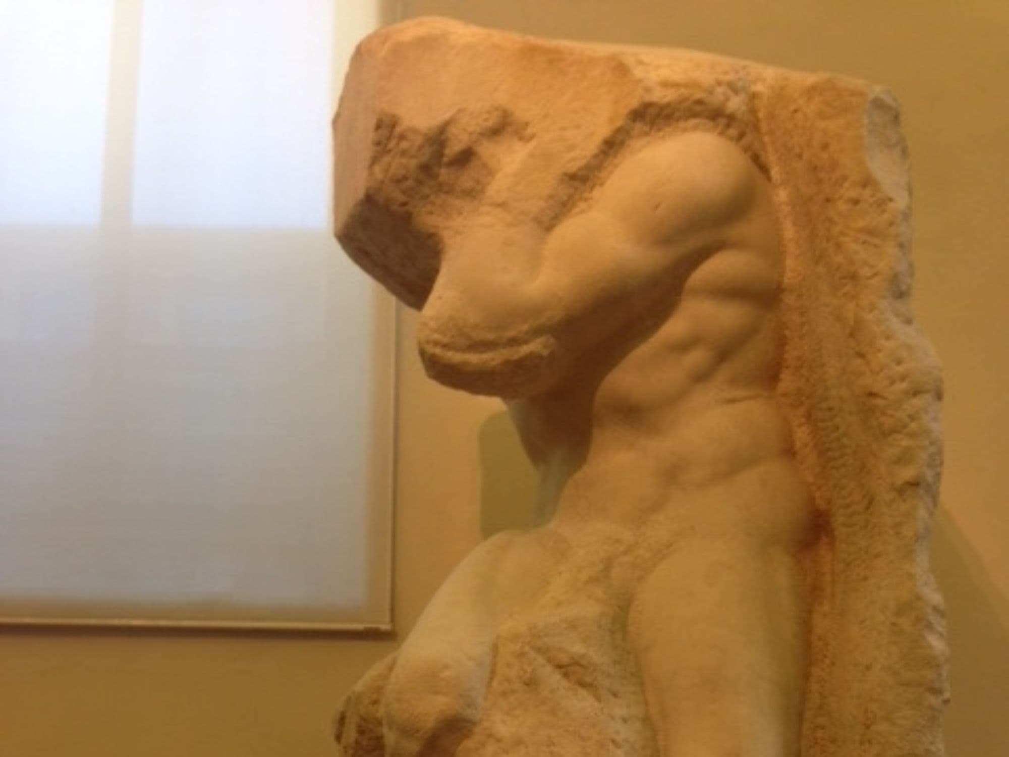 michelangelo_schiavo
