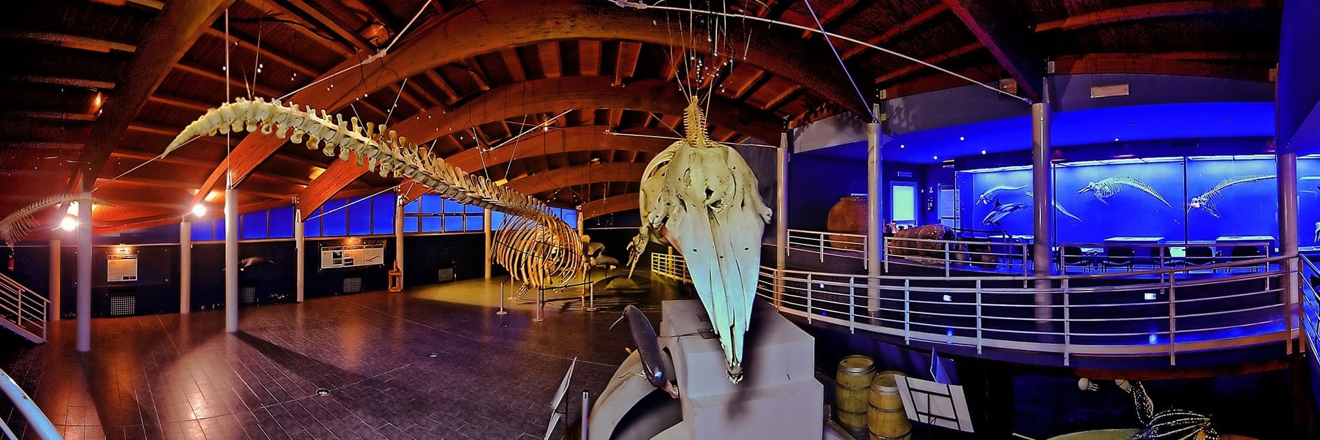 museo-storia-naturale-mediterraneo