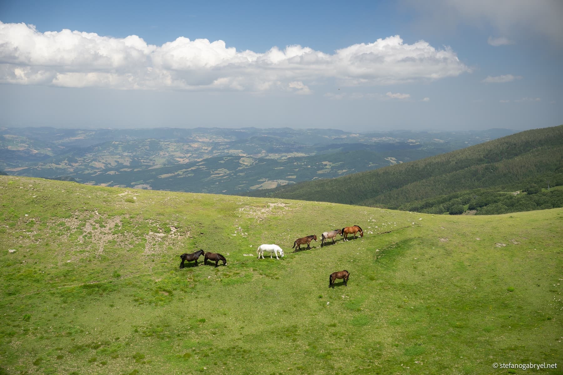 Private excursion to Lake Scaffaiolo in the Corno alle Scale reserve