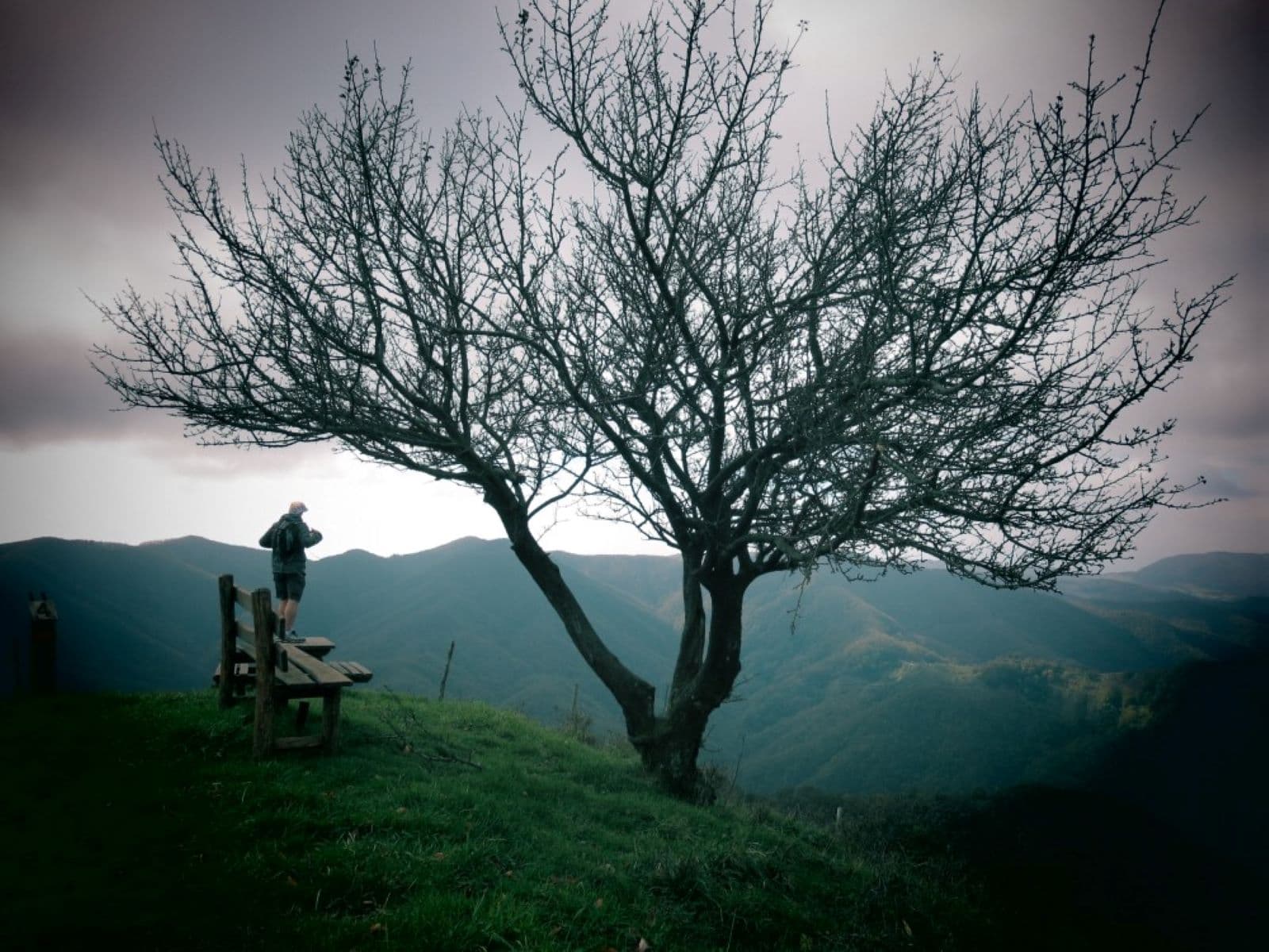 4.puntipanoramici.jpg