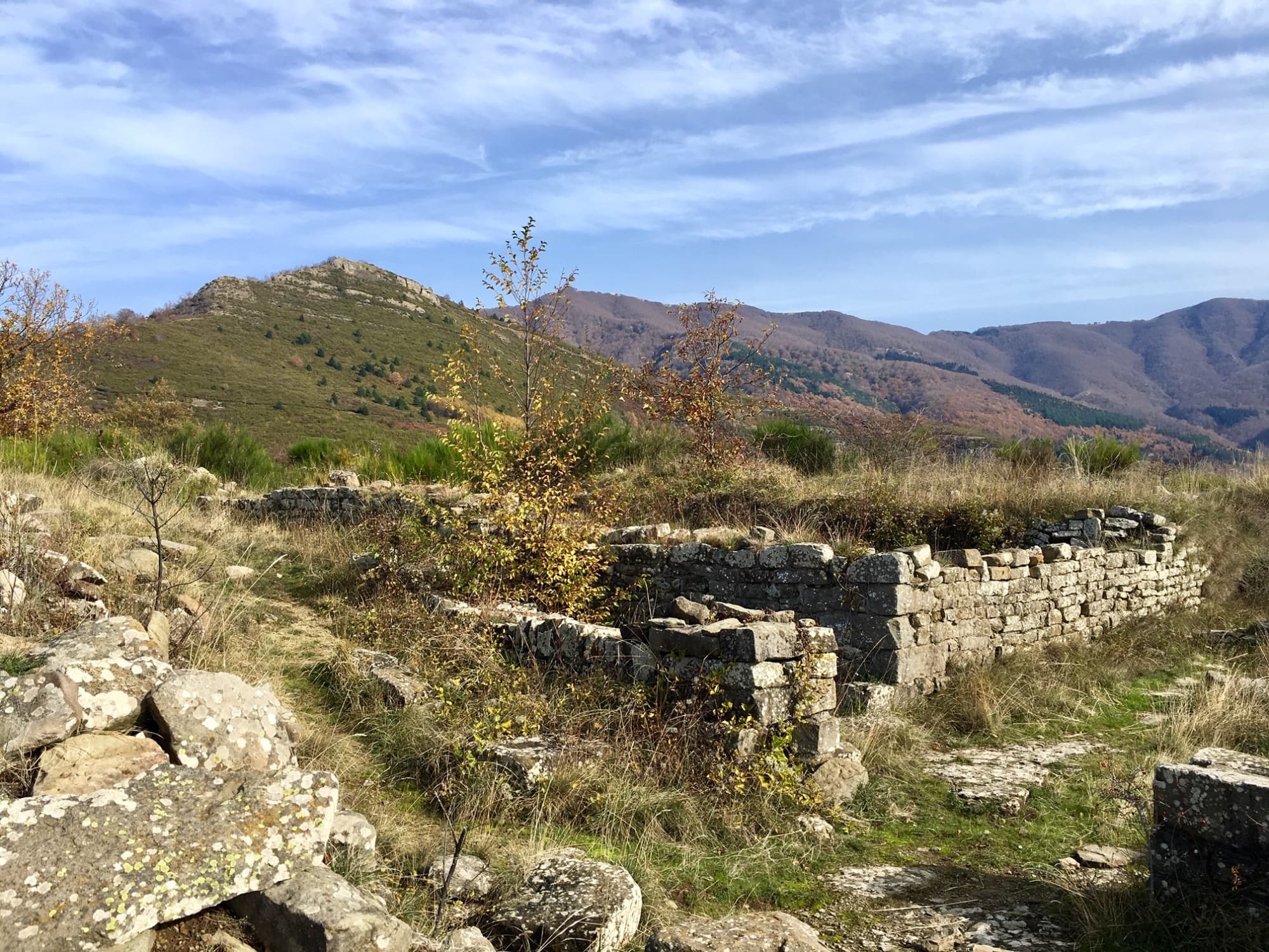 Poggio alla Regina con vista del Monte Acuto - Reggello