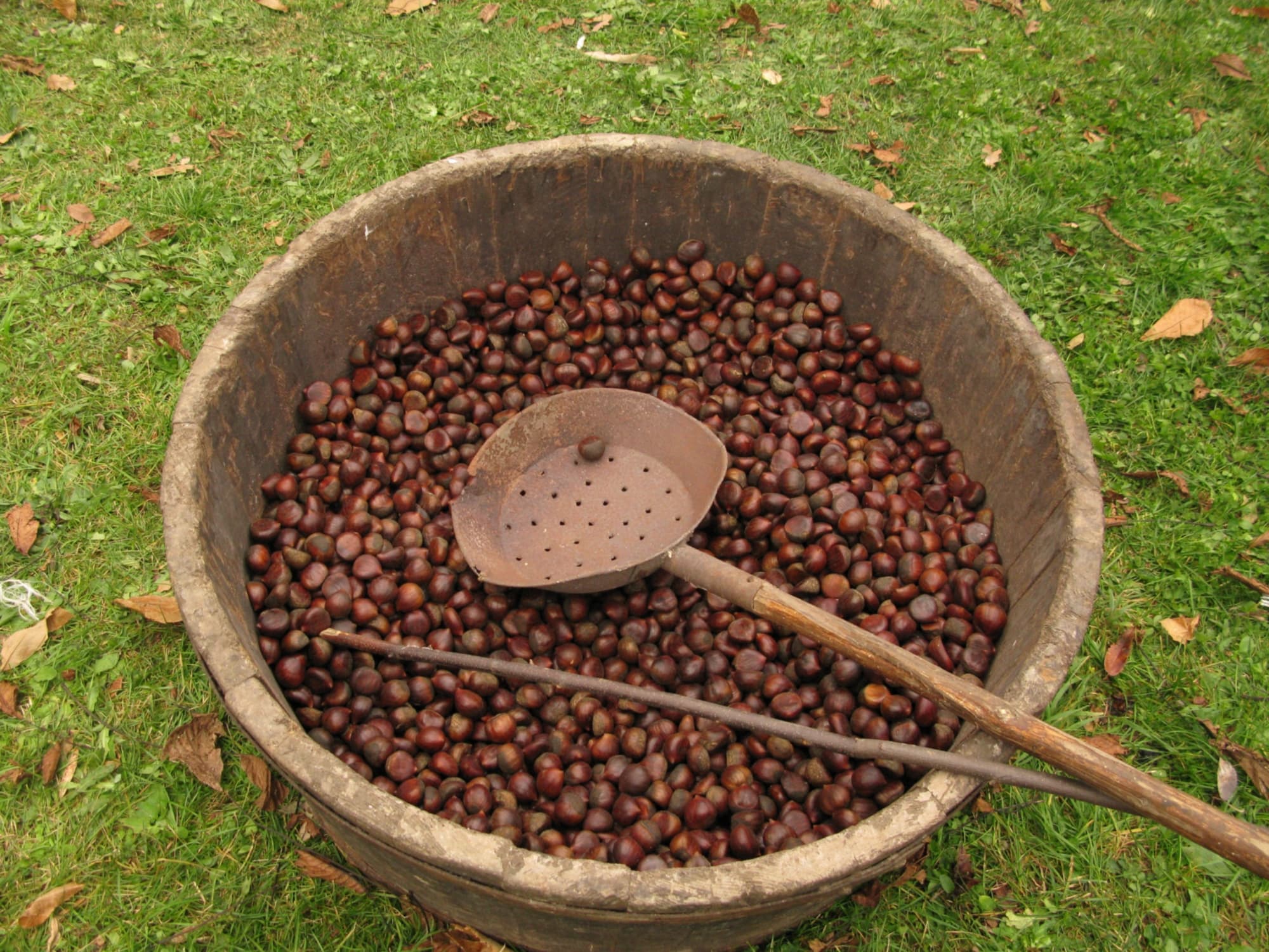 Castagne della Garfagnana
