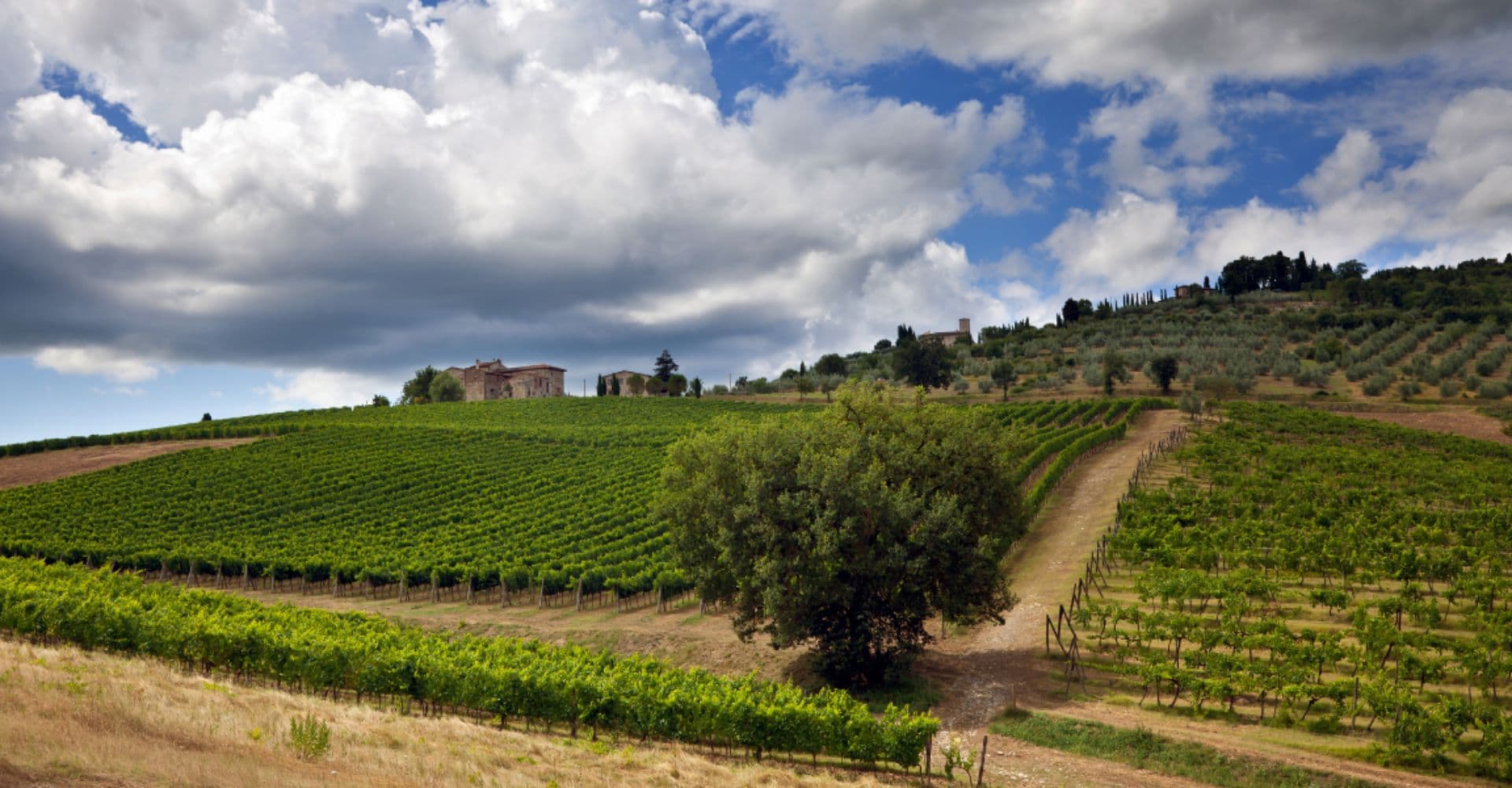 Cinco días de camino por las colinas del Chianti